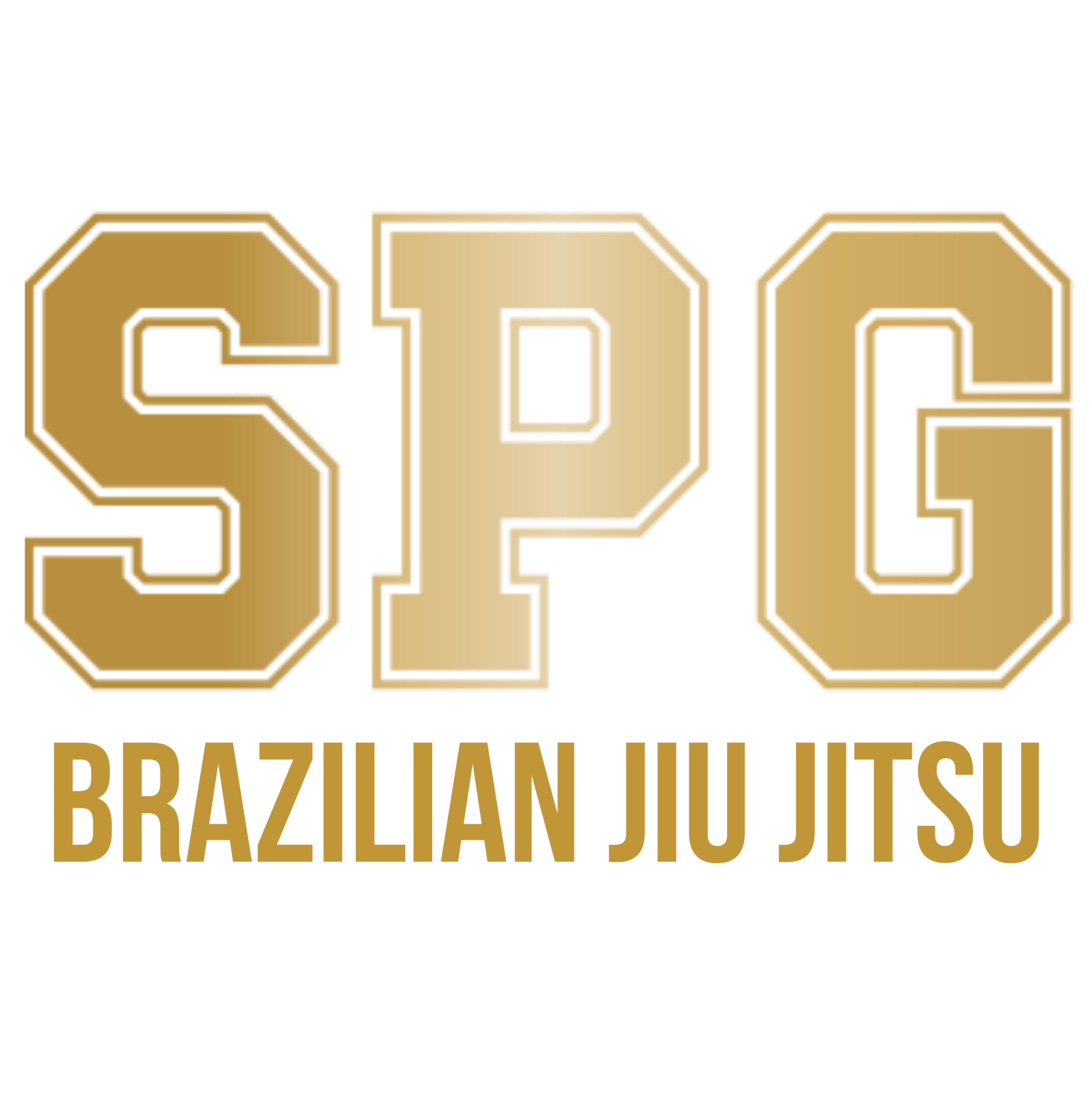 12 Week Beginners Brazilian Jiu-Jitsu Course for Adults