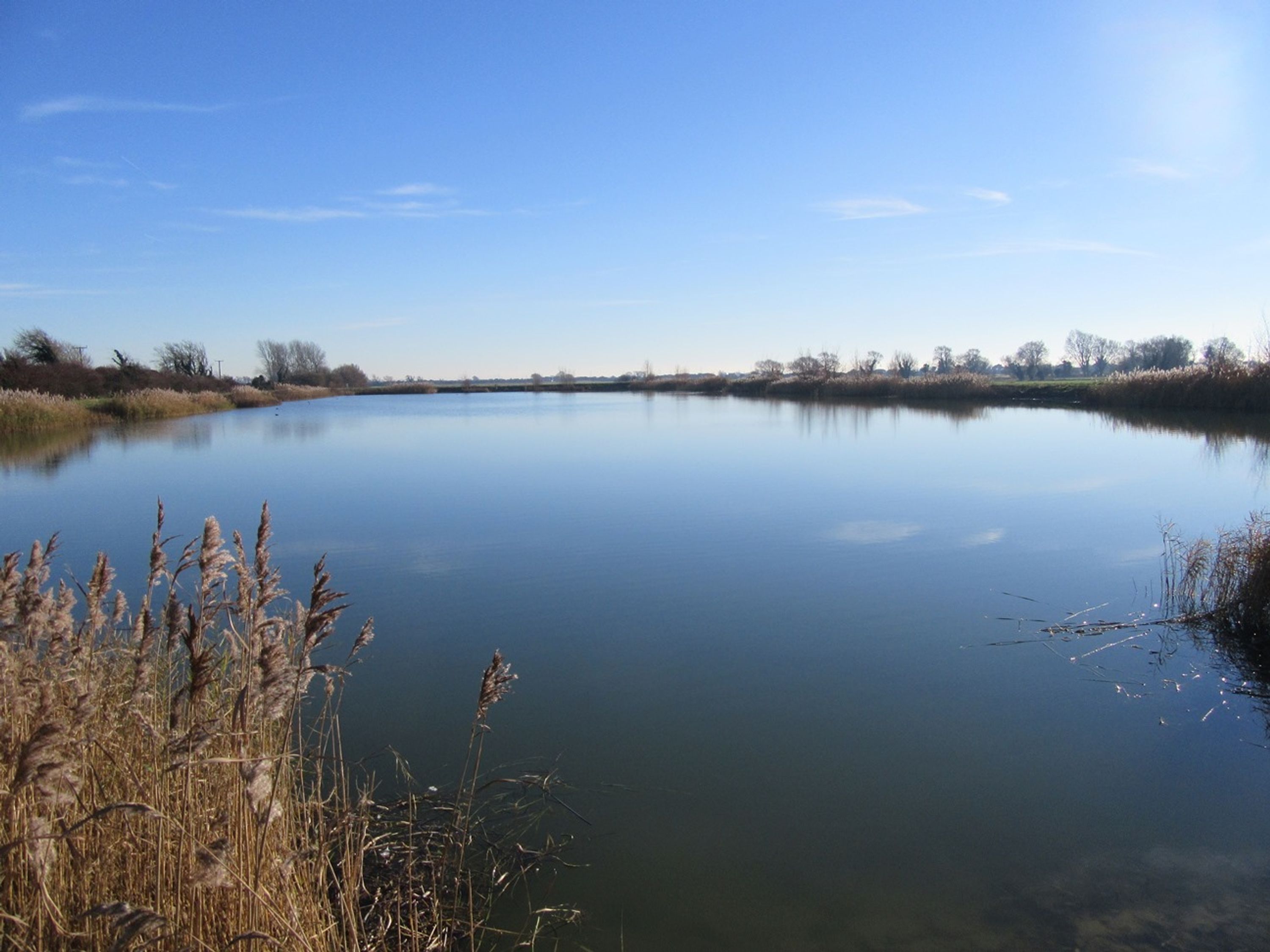 Cranbrook and District Angling Club Juniors