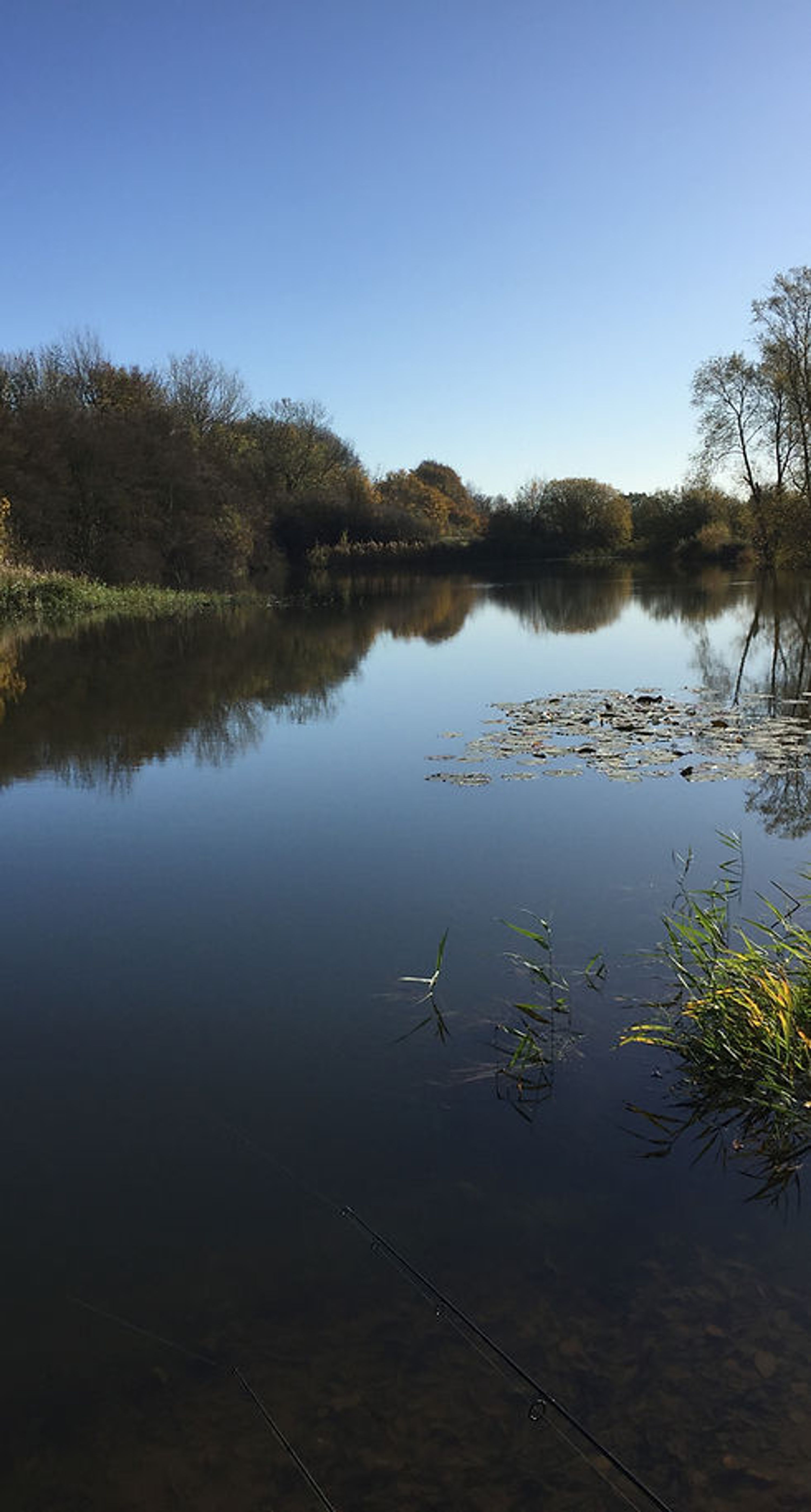 Doe's Angling Club
