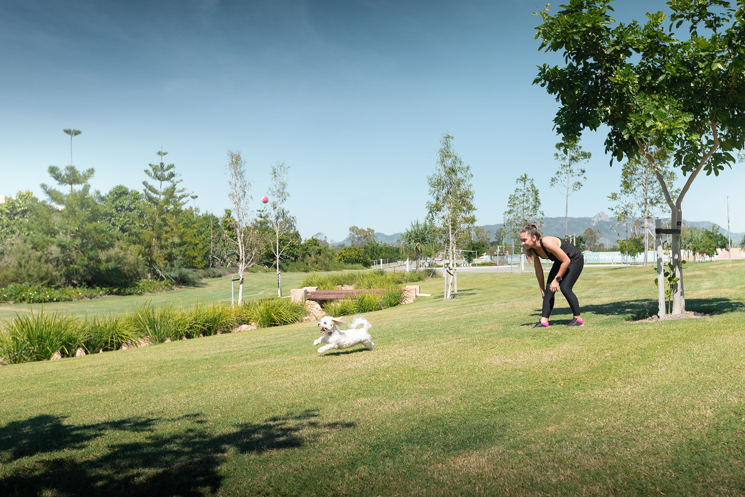 Harris Crossing Disc Golf