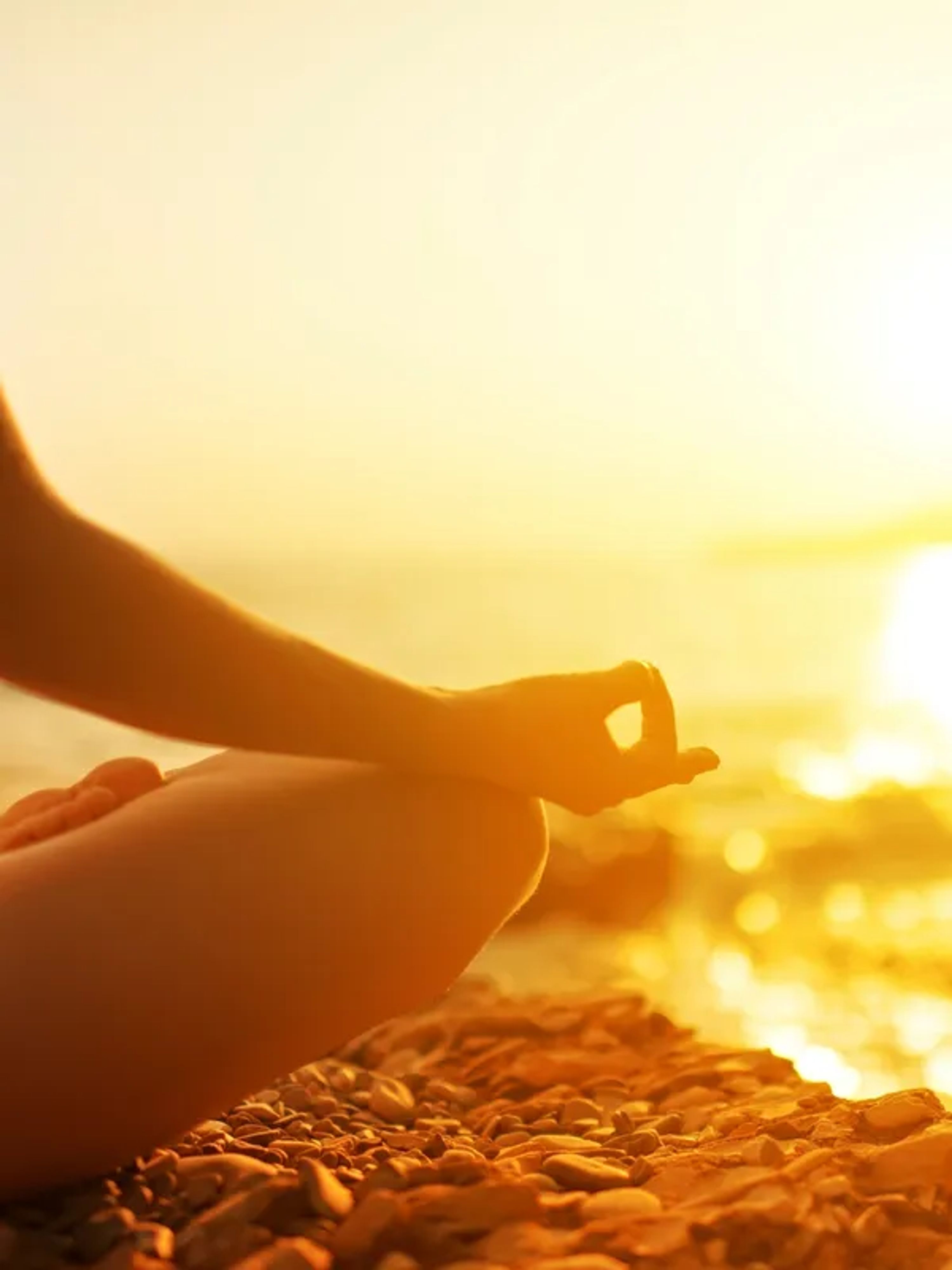 Gazing Hare Yoga