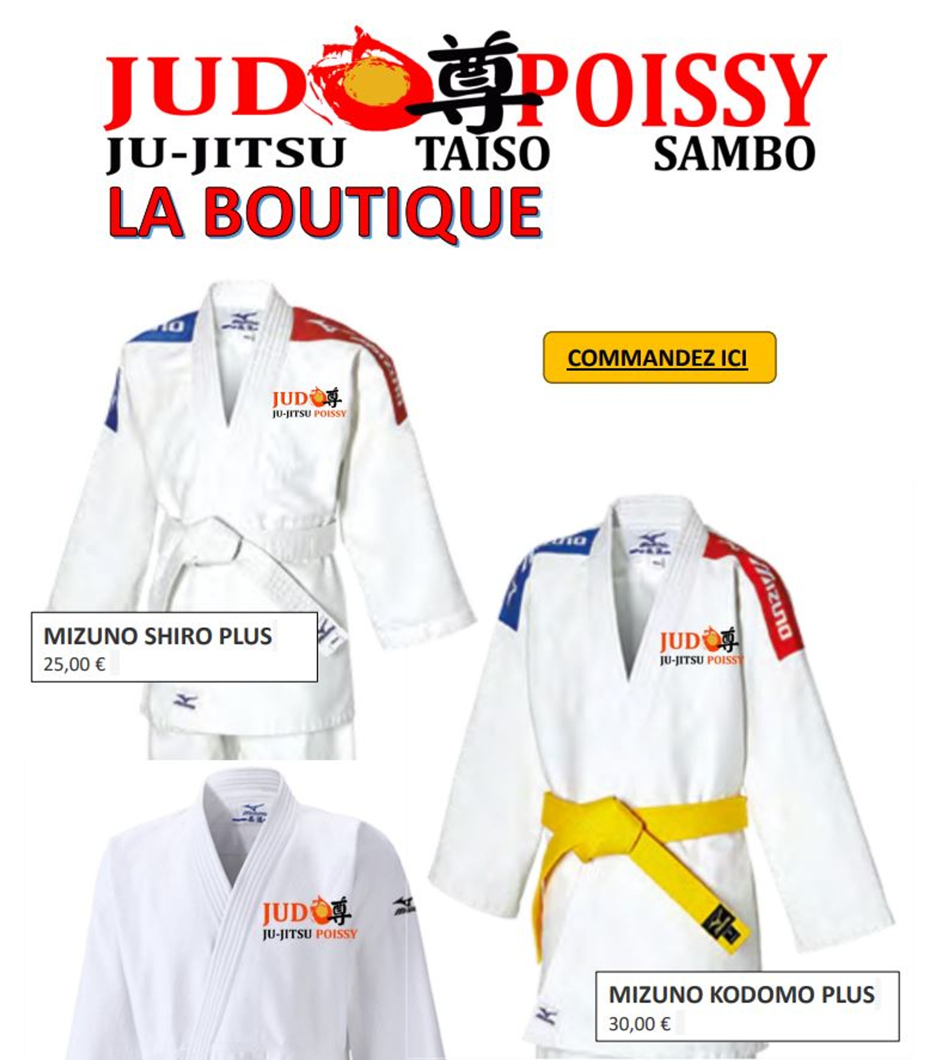 Judo Jujitsu Club De Poissy