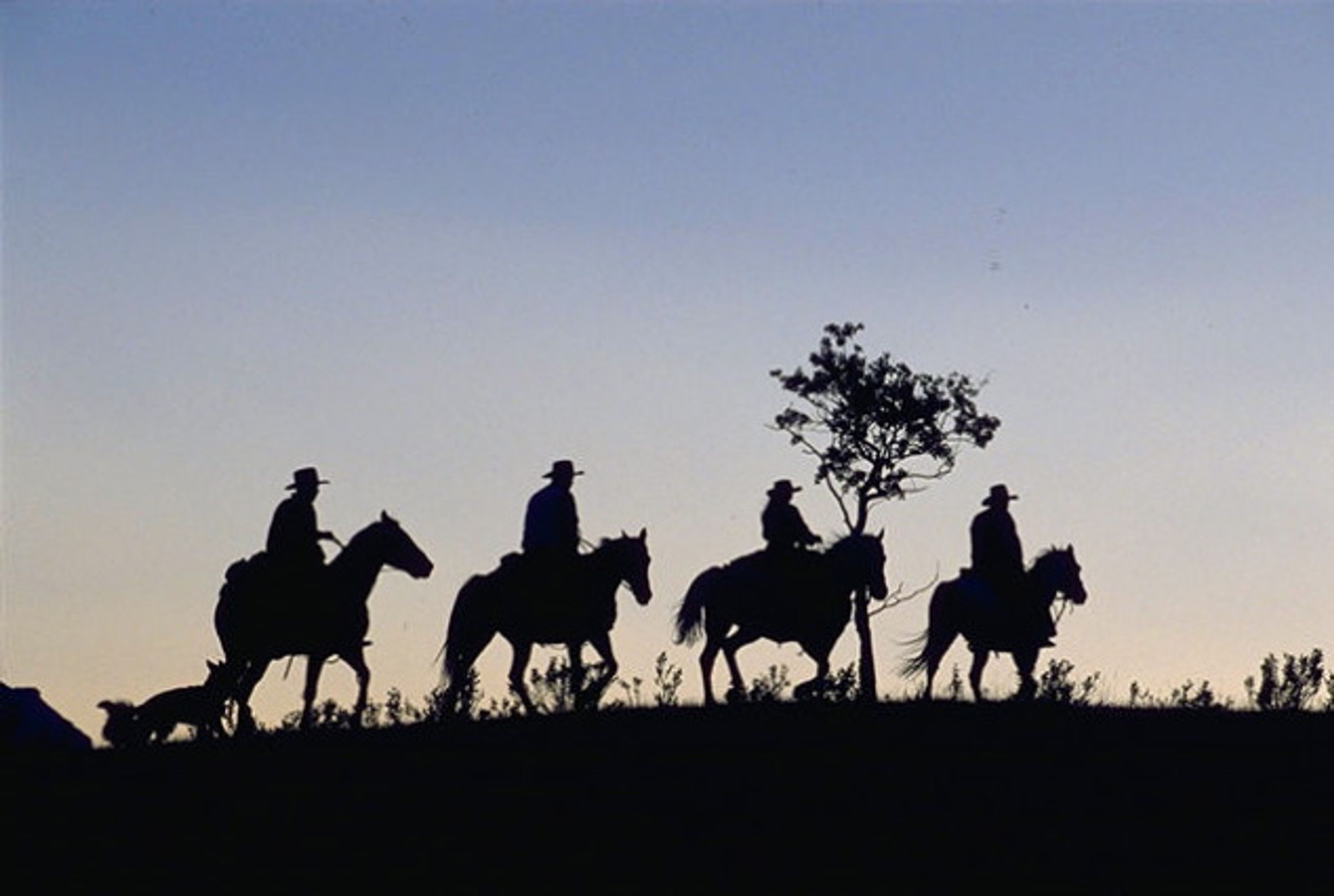 Outpost Escape Horseback Vacation Packages