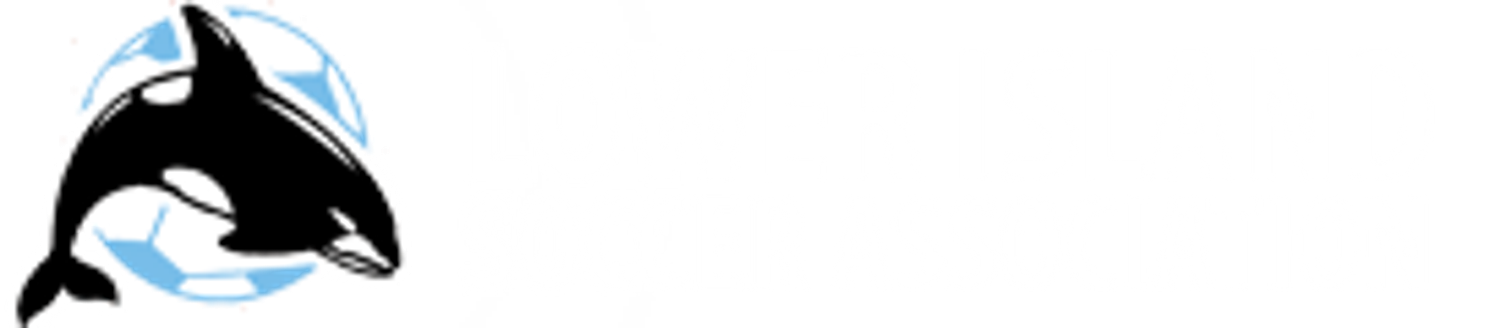 Lower Island Soccer