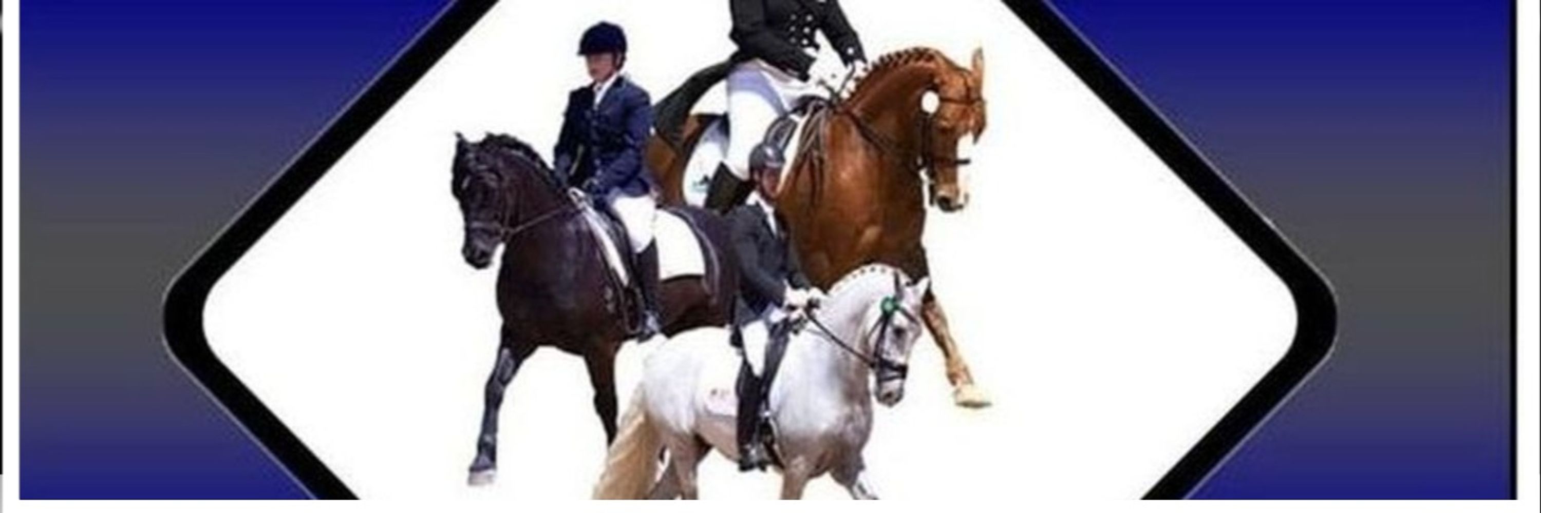 Training Day February 2021