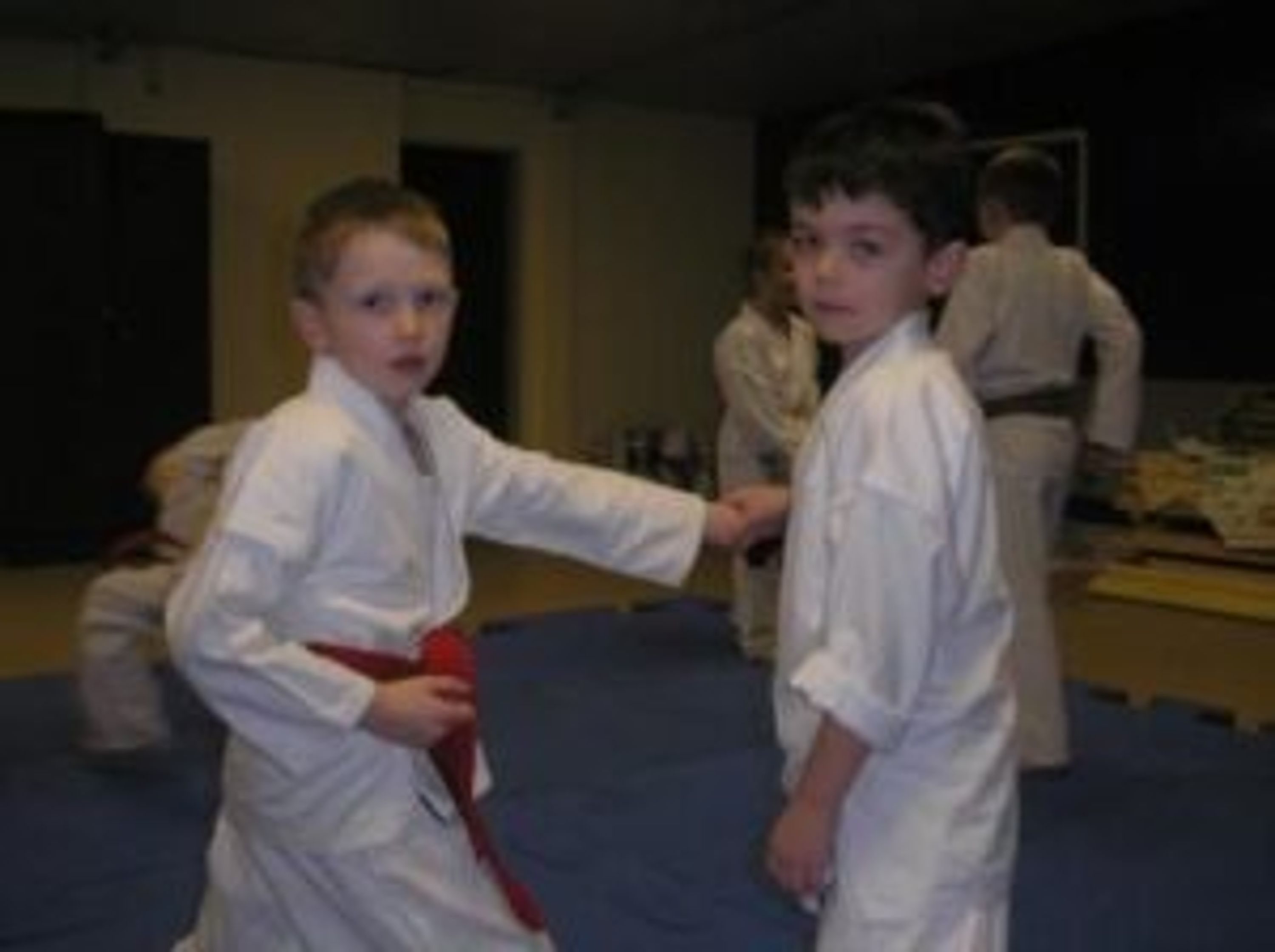 Red Dragon Karate Club