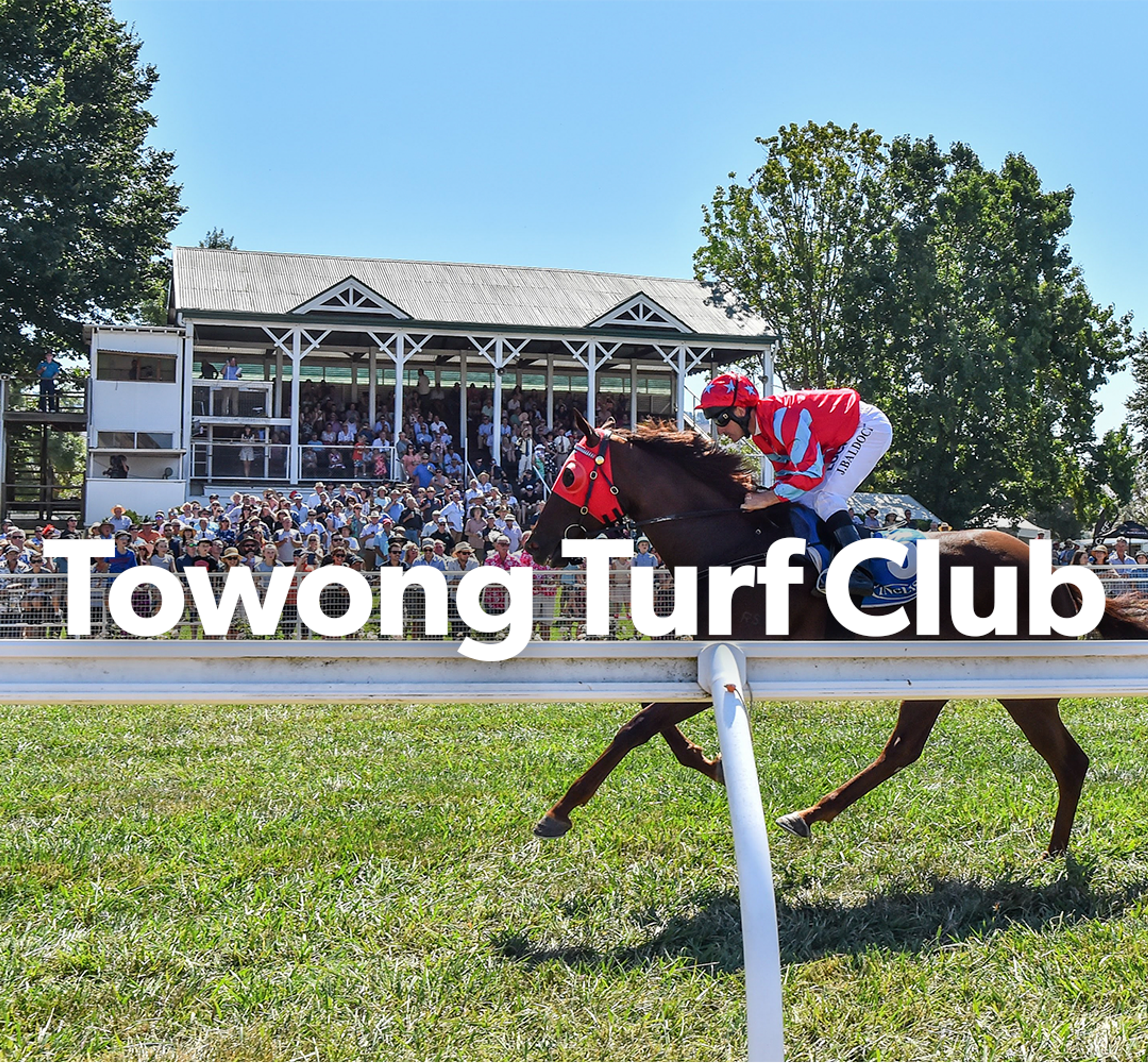 Towong Cup