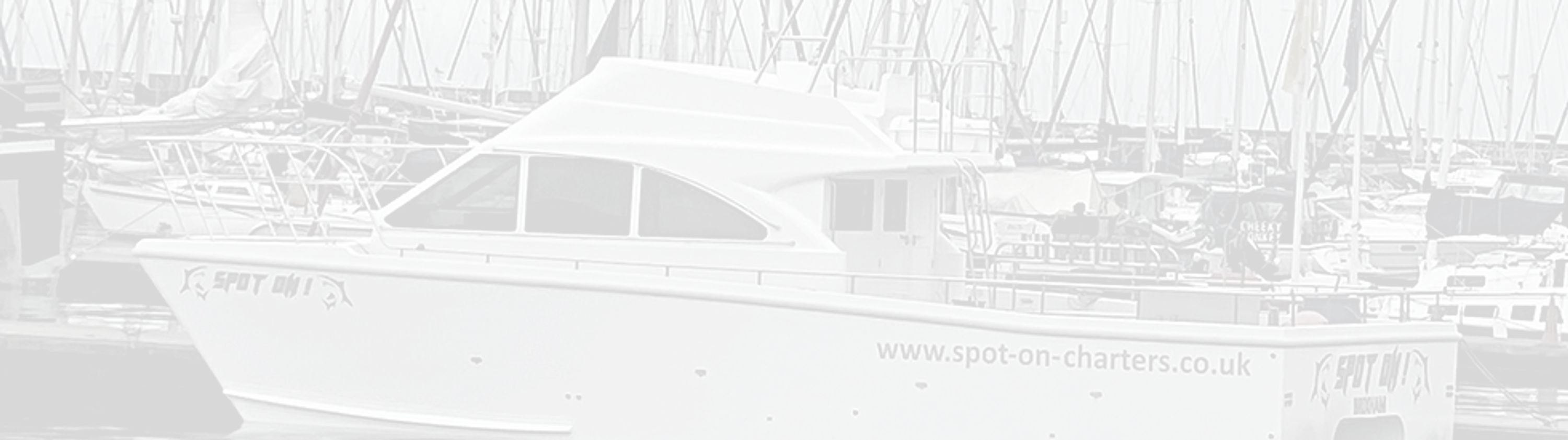 Spot On Charters & mackerel fishing