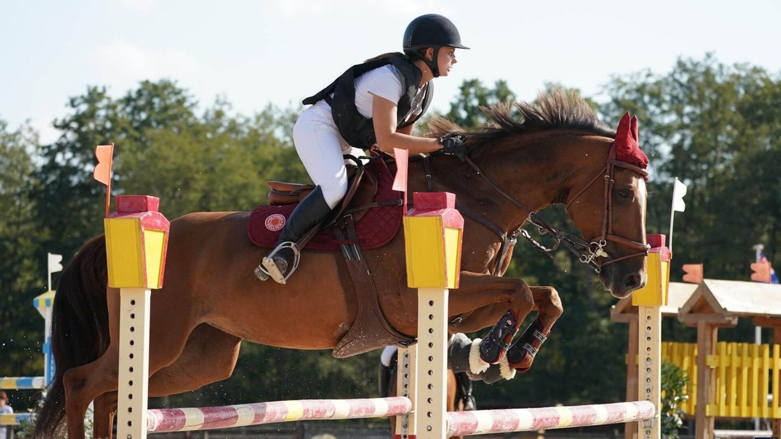 Equi-Normandie