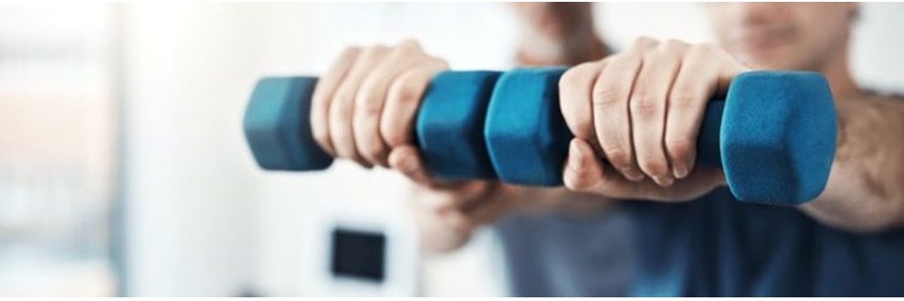 The Lifestyle Shoulder - Online Program