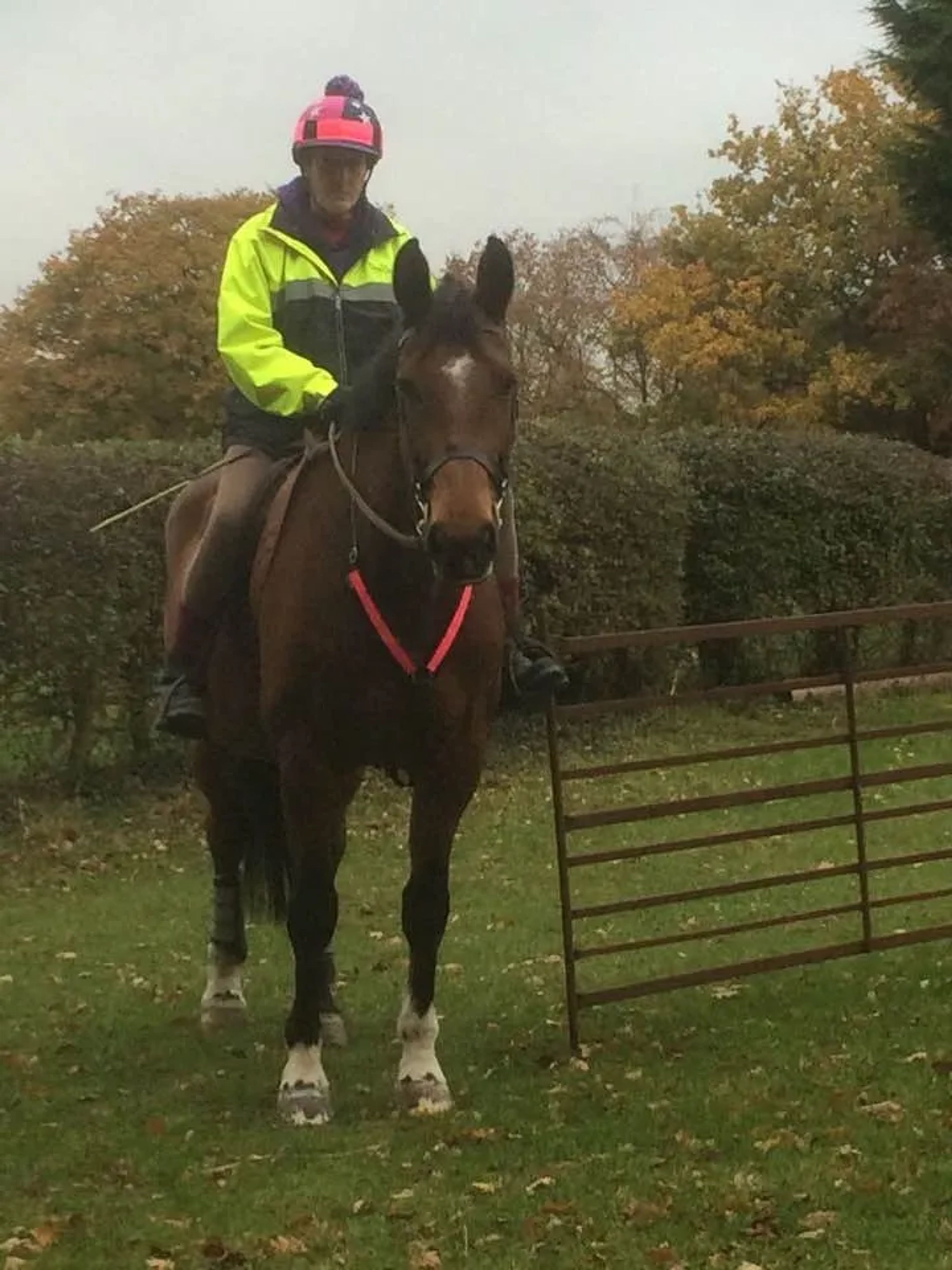Horse Riding
