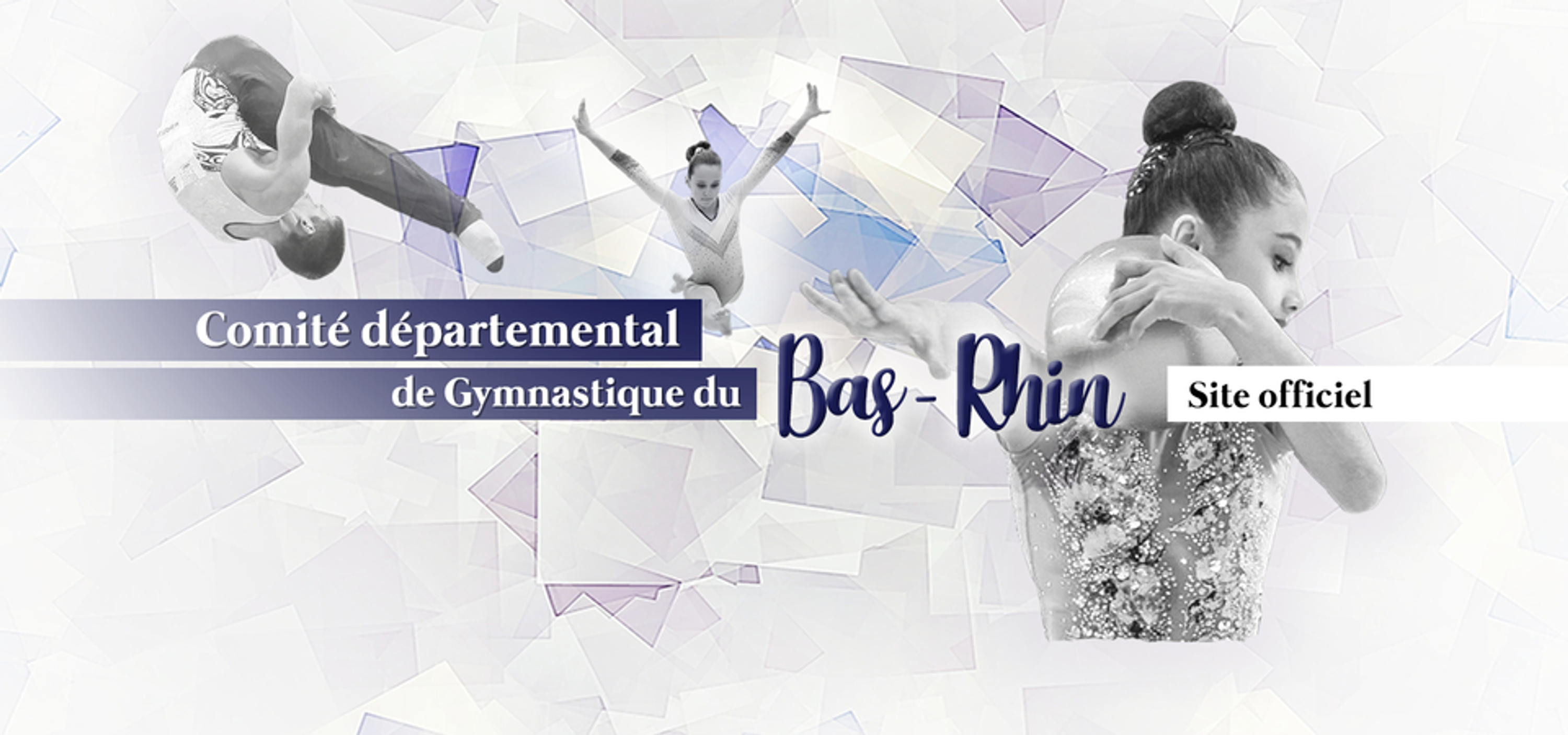 Comite Departemental Gymnastique Du Bas Rhin