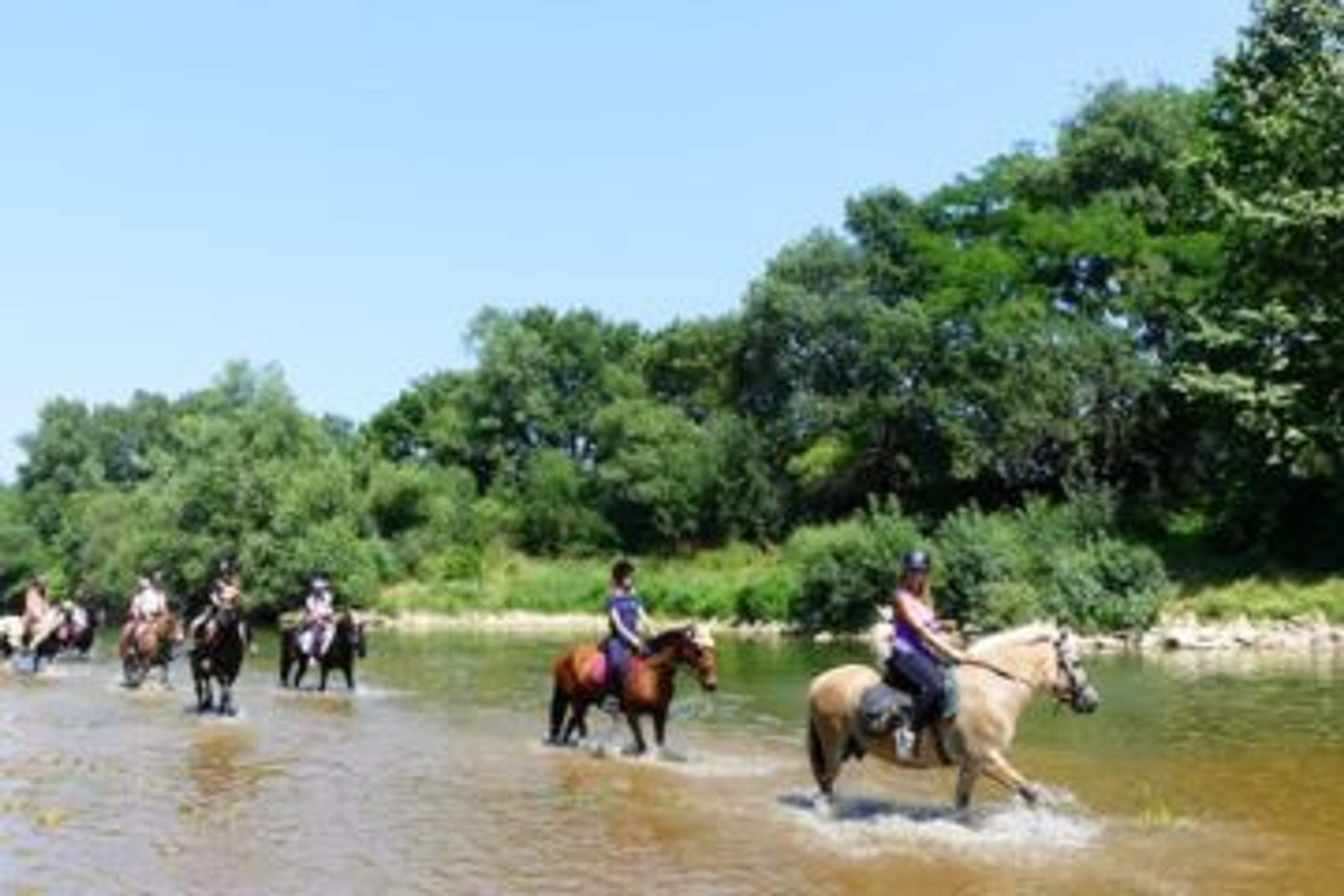Centre Equestre des Combes
