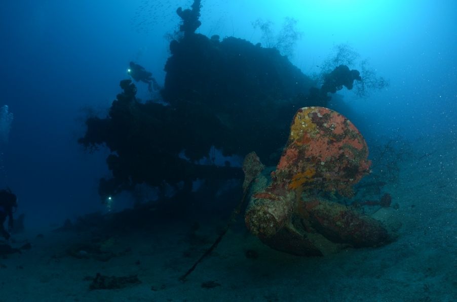 Actaeon Islands Dive