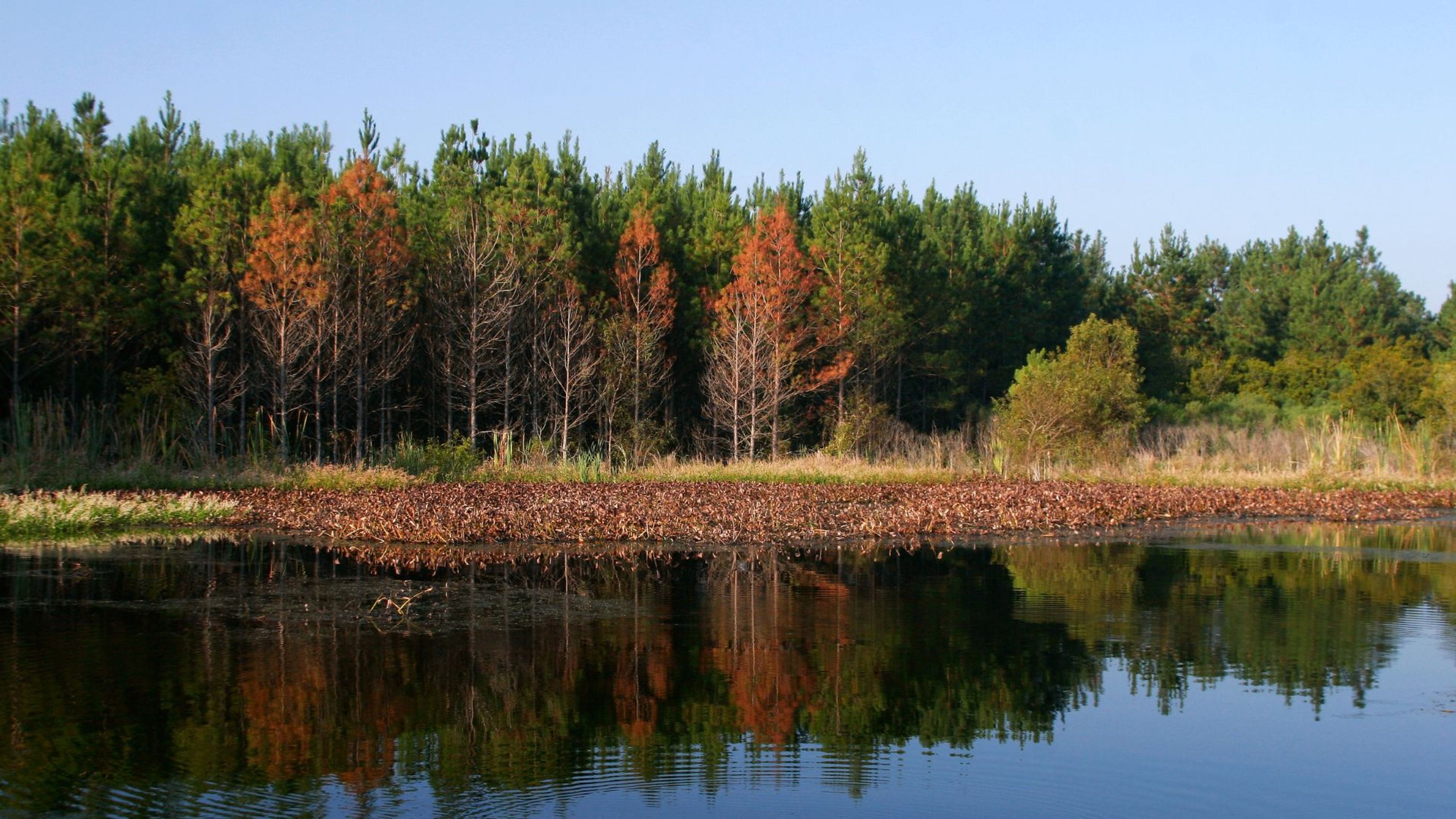 Kanipahow Wilderness Resort & Outposts