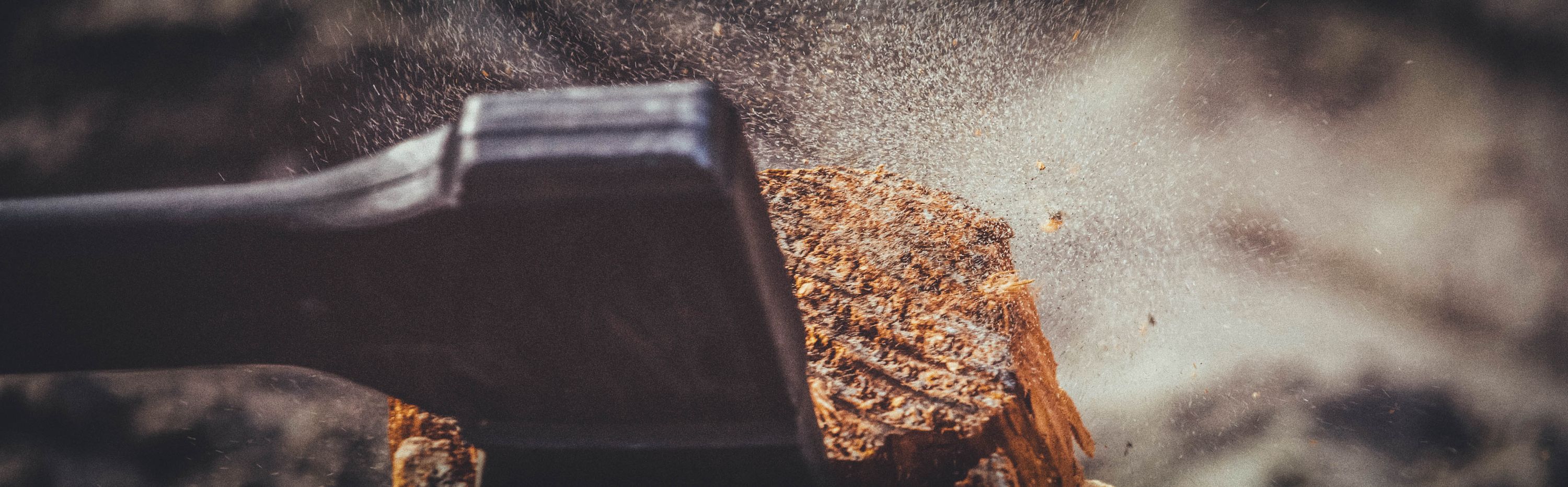 Woodchopping banner