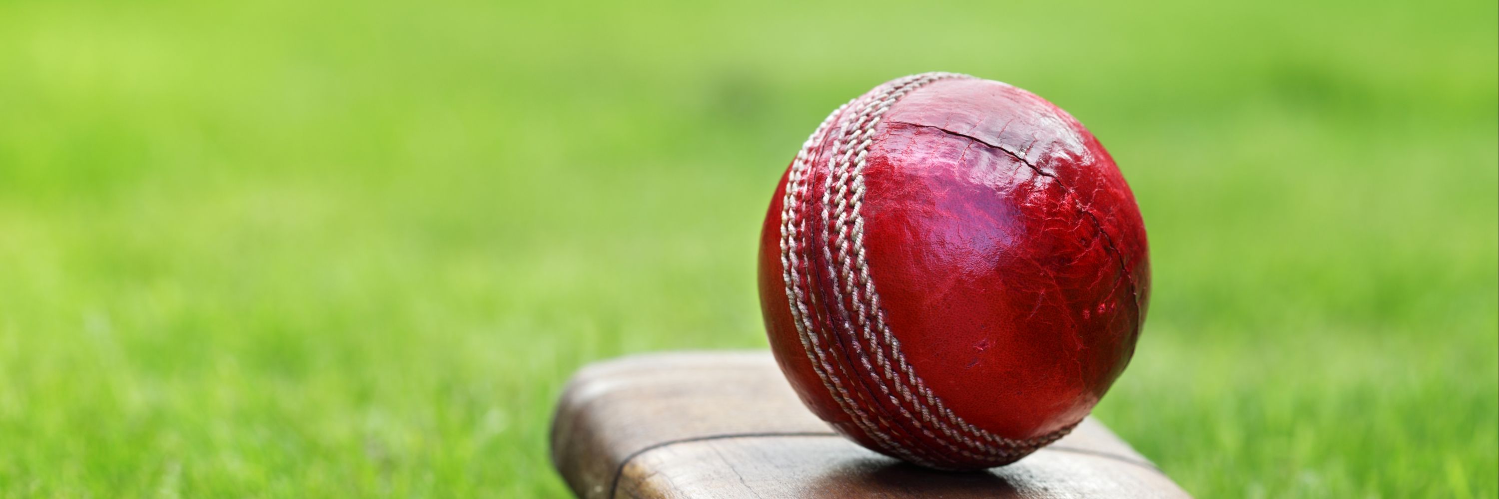 Lyon Cricket