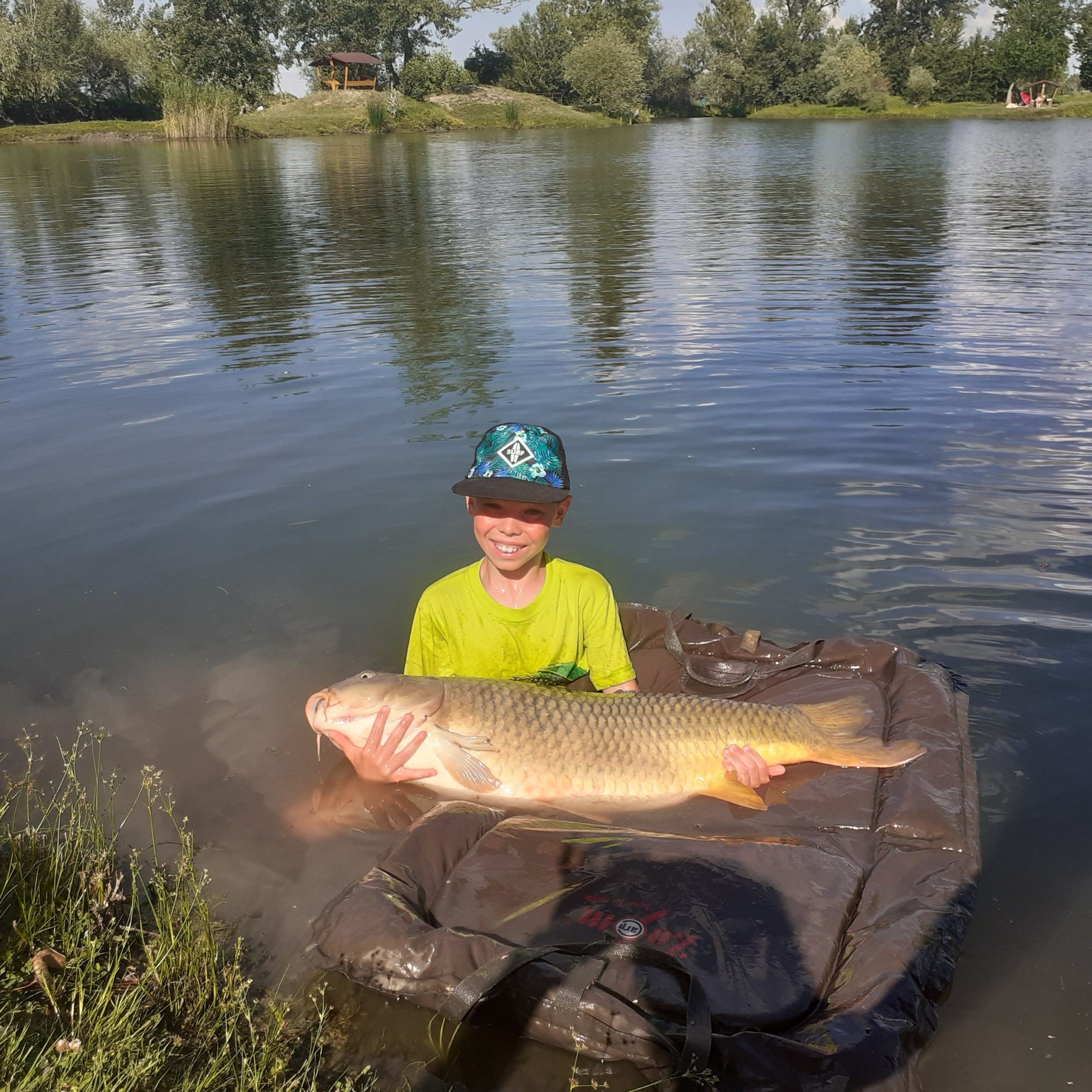 Carp Tona