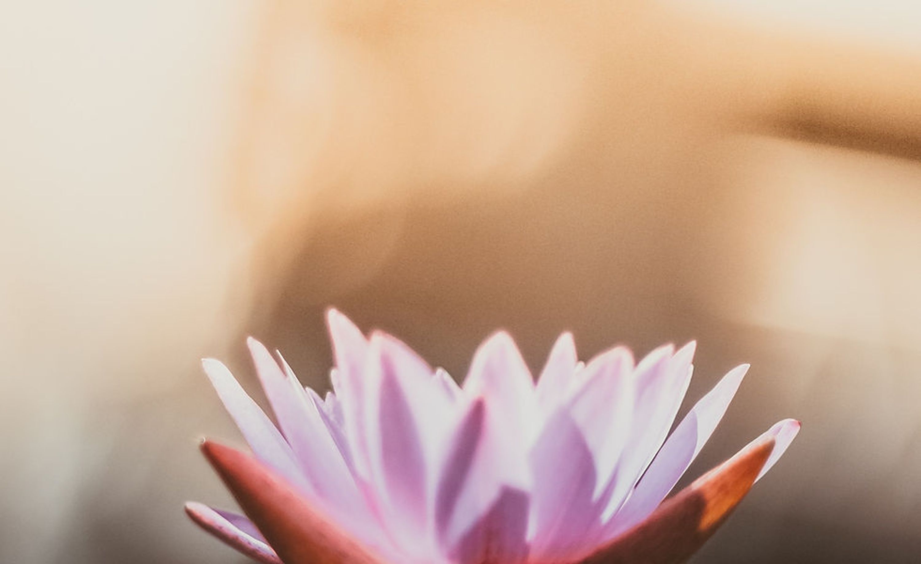Blissful Yoga with Laurie