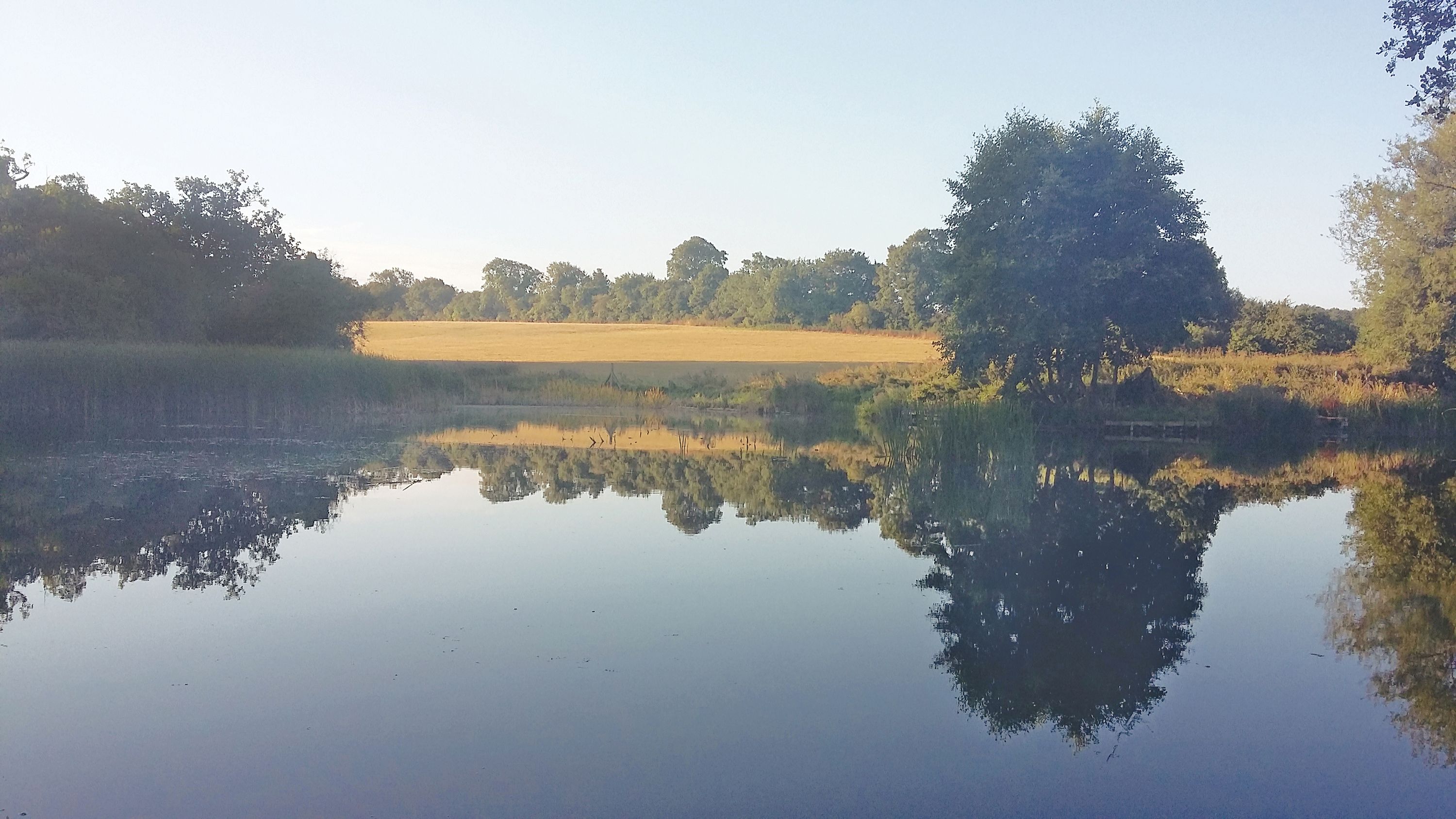 Astwell Mill Top Pond