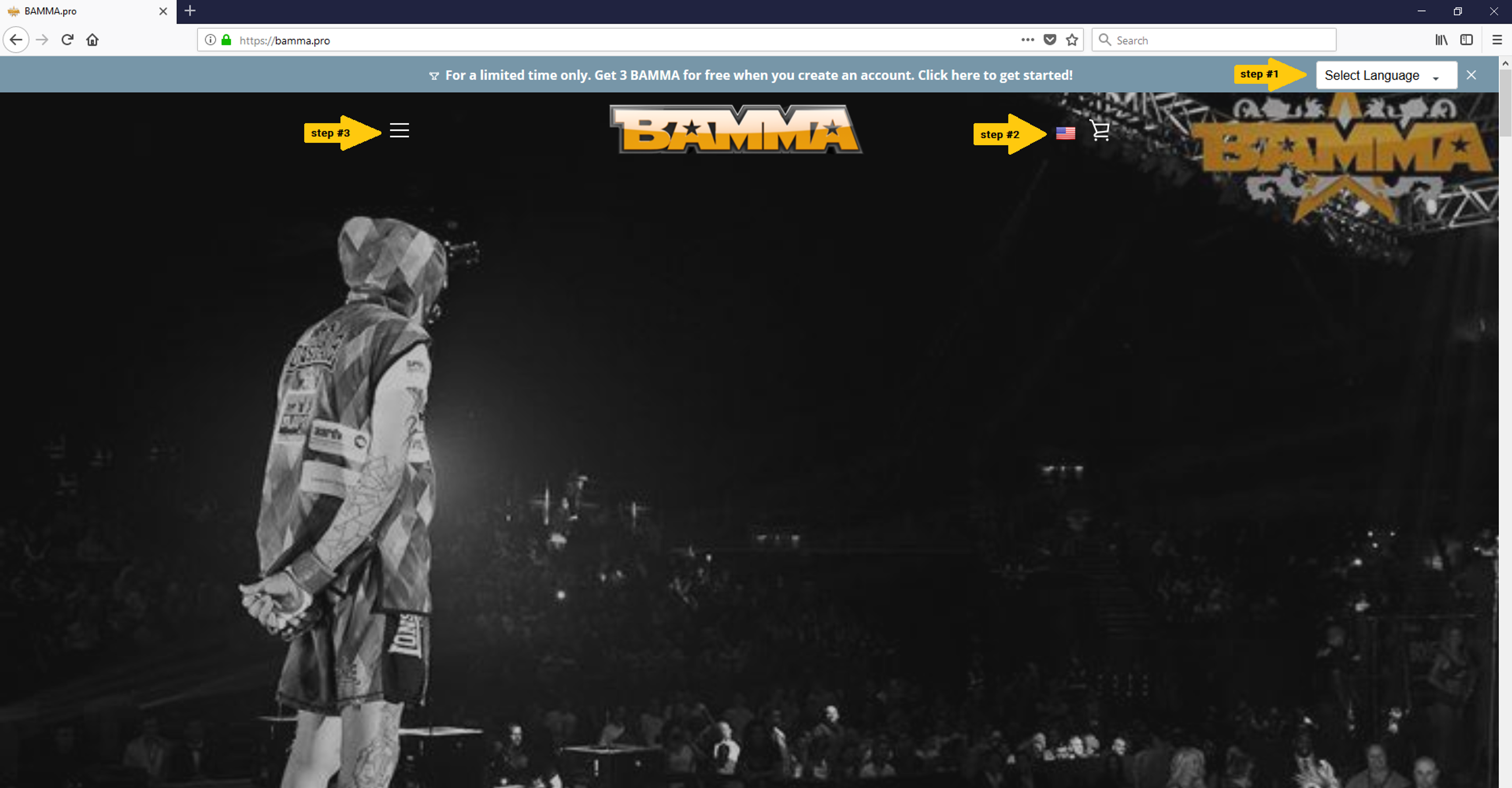 BAMMA