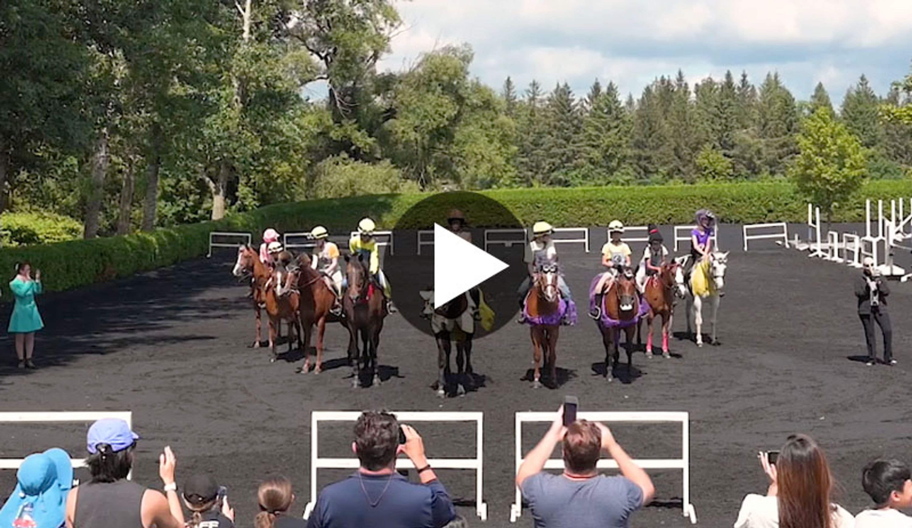 Summer Horse Riding Camp 2024