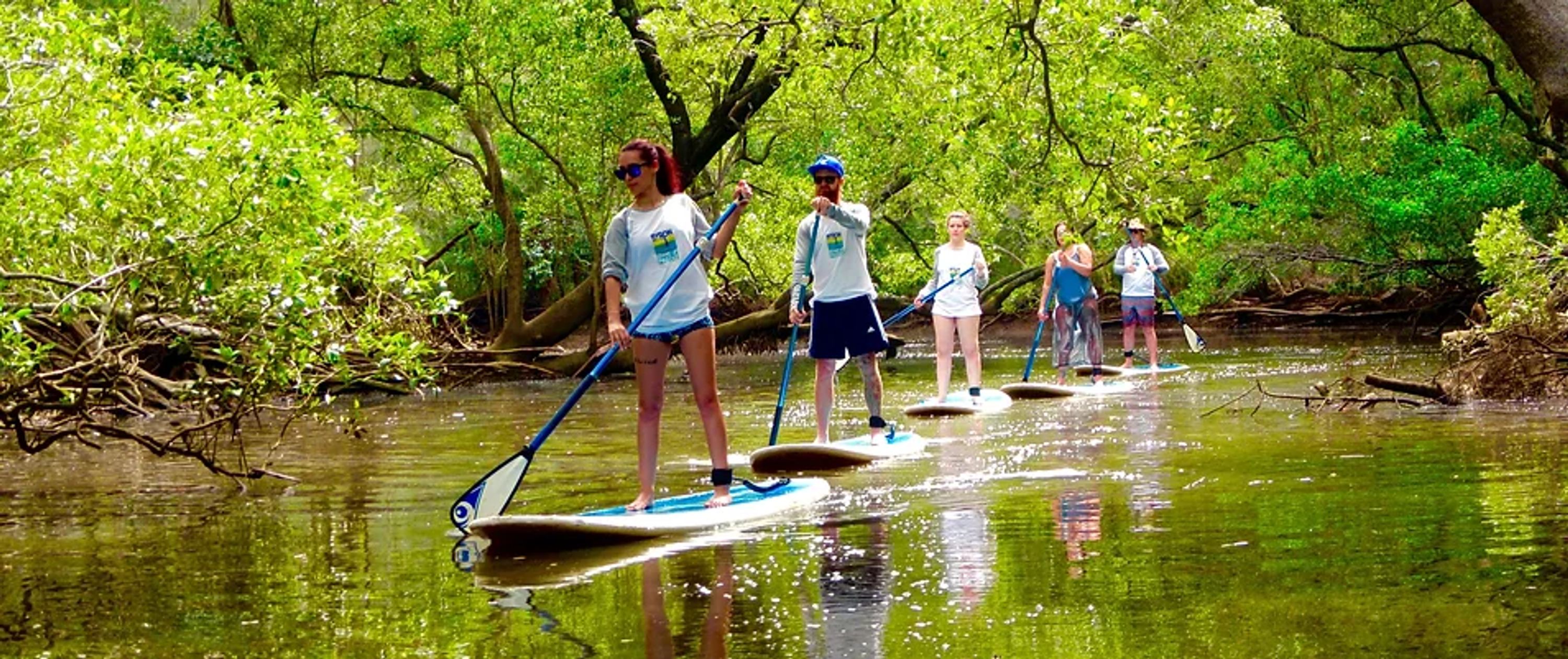 The Byron Stand Up Paddle Nature Tour