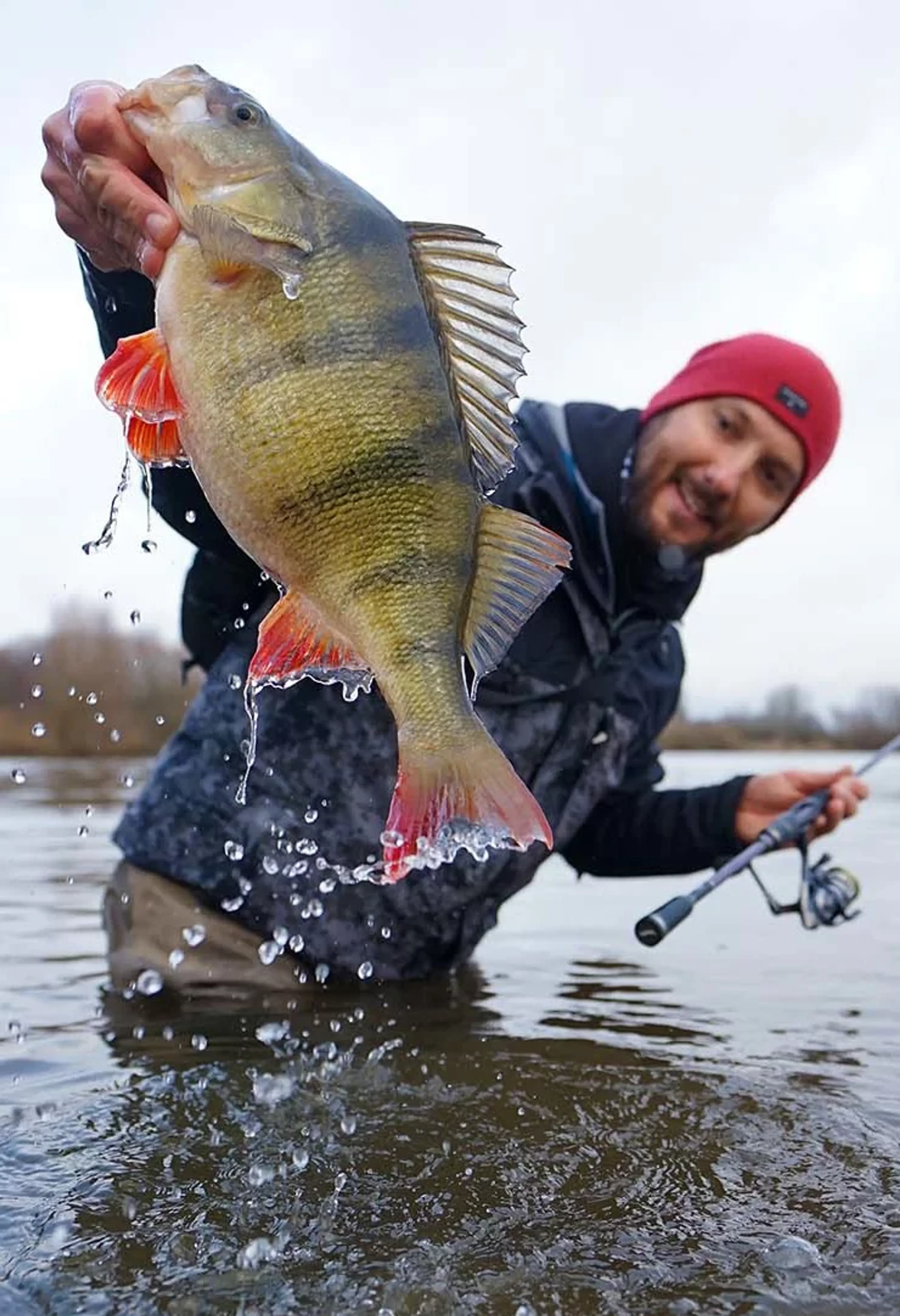 Mac Chasse Pêche Carton