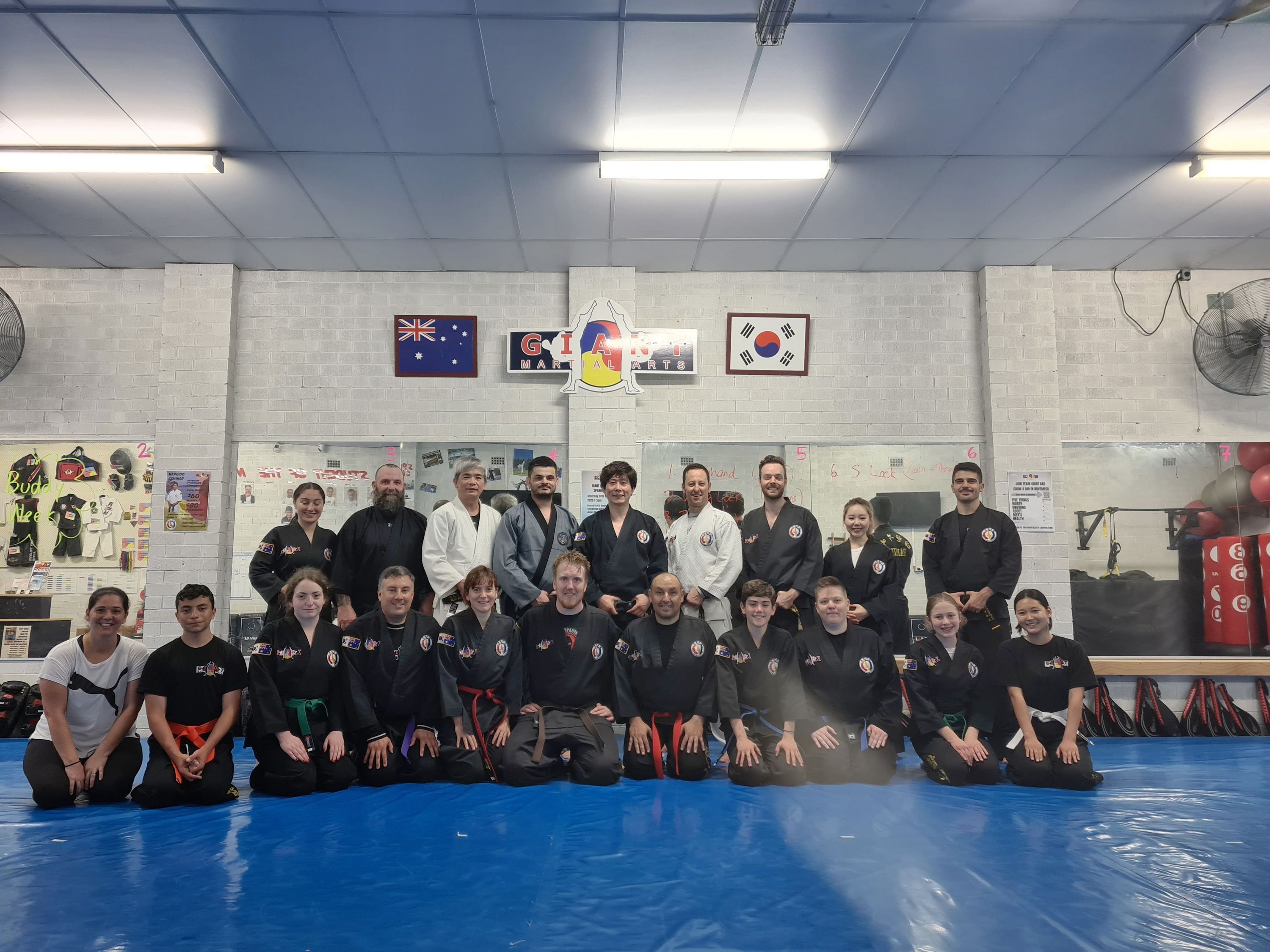 Martial Arts College International