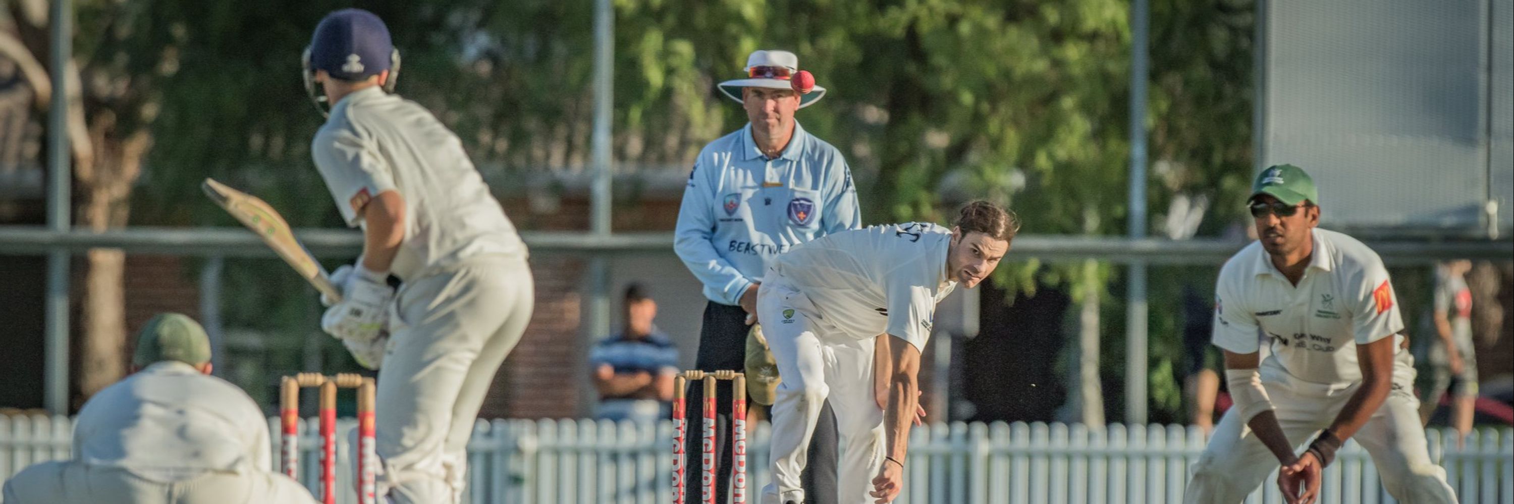 Warringah Cricket Club