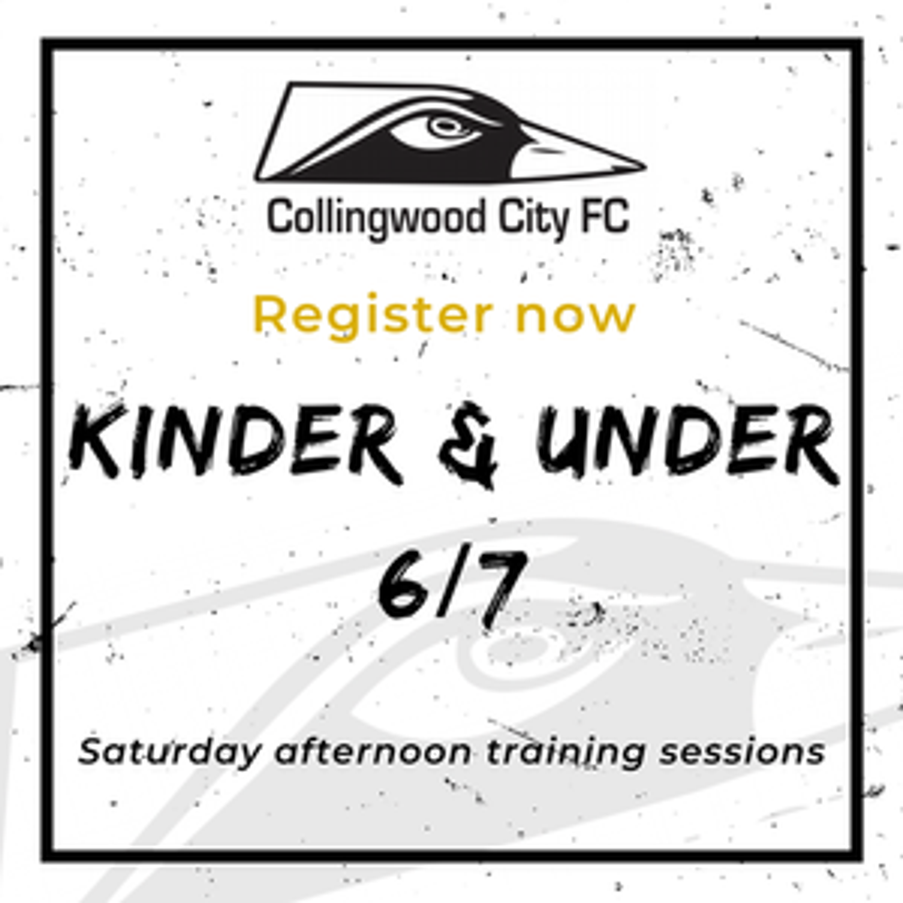 Kinder Kids and Under 6/7 Soccer Program