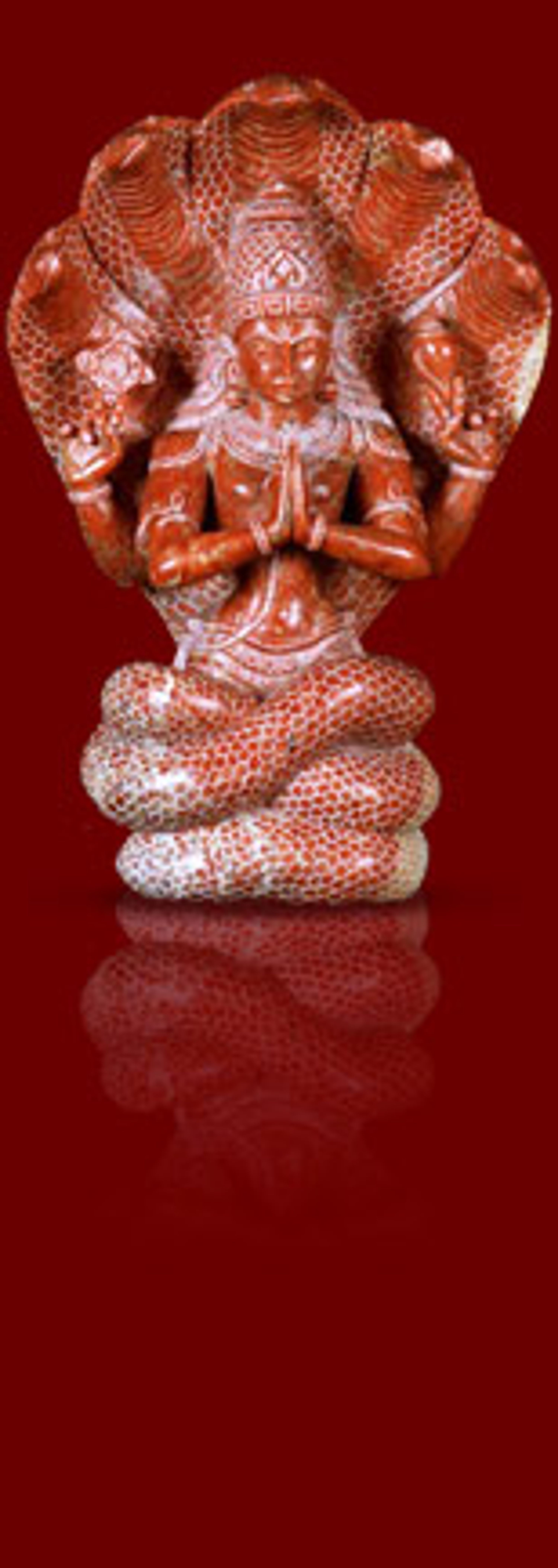 OM YOGA CENTER