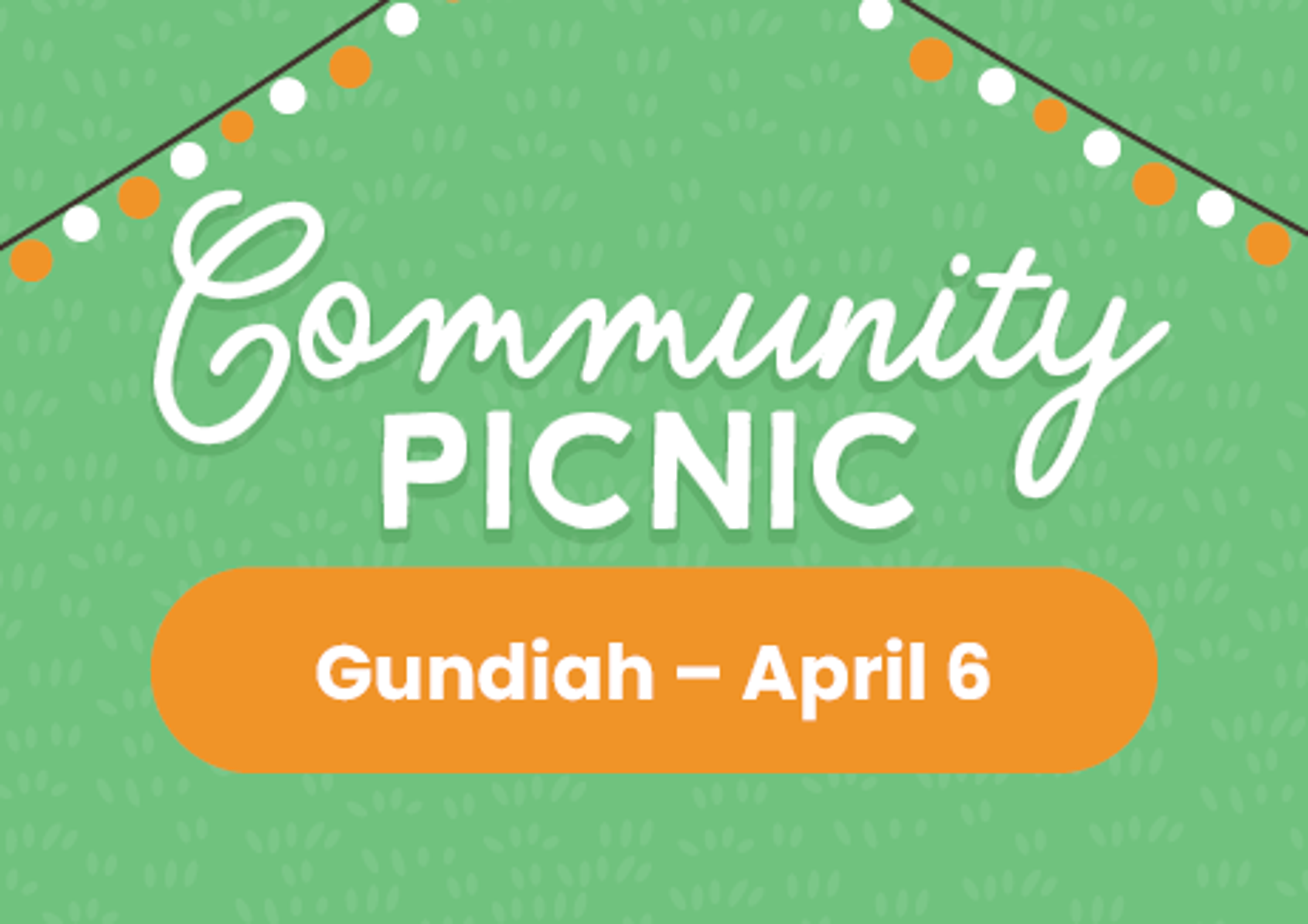 Community Picnic - Tiaro