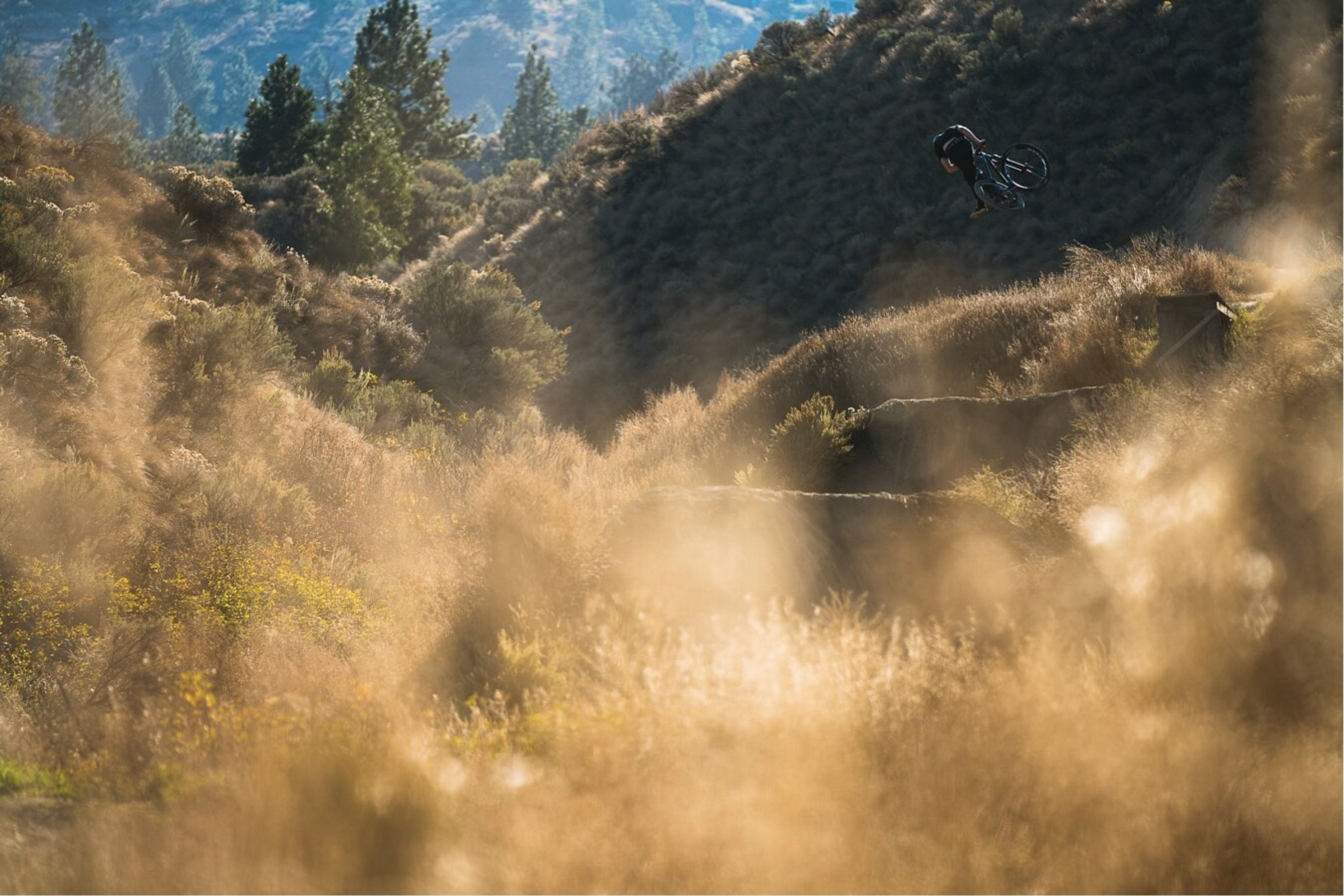 Kamloops Bike Ranch