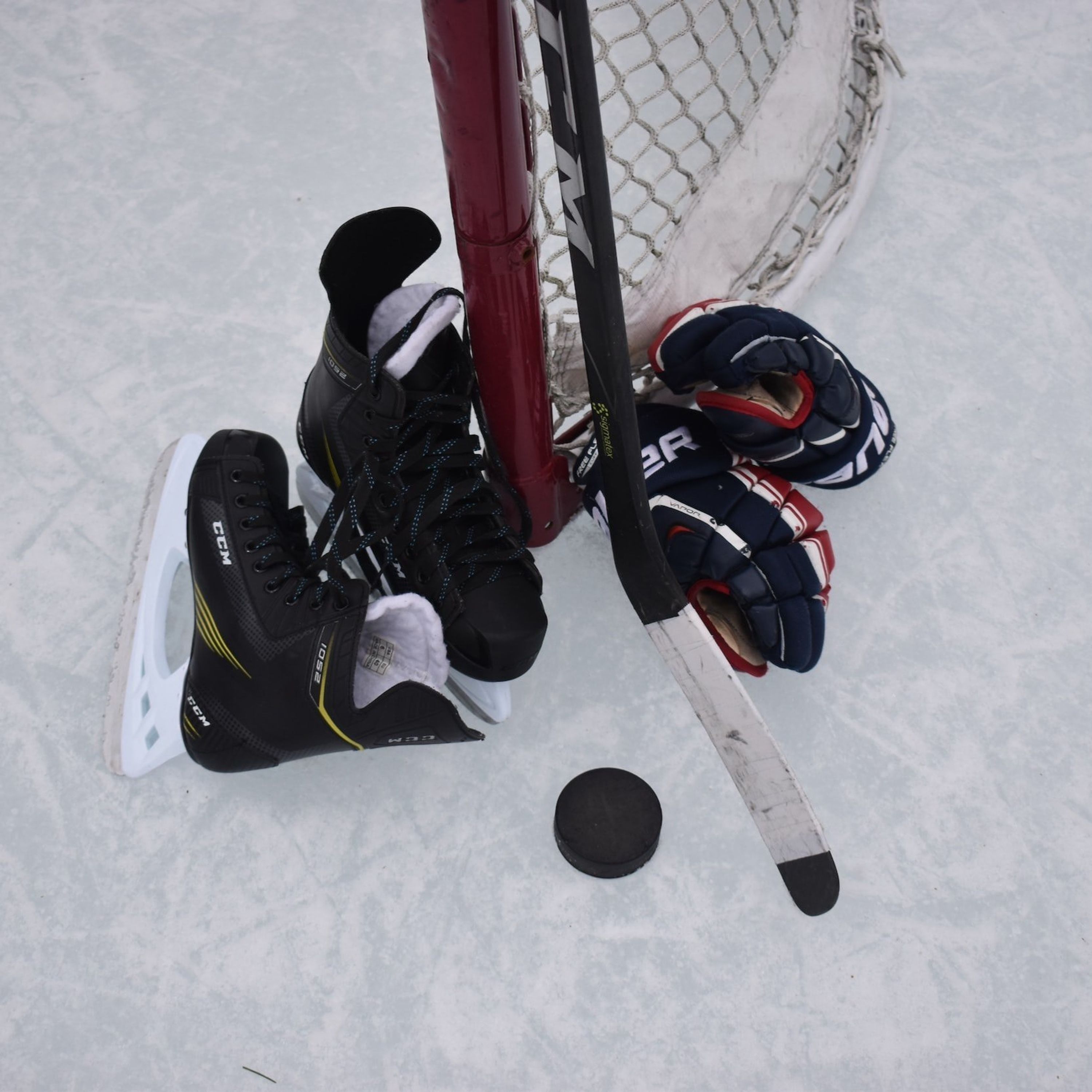 Fort Hockey Development