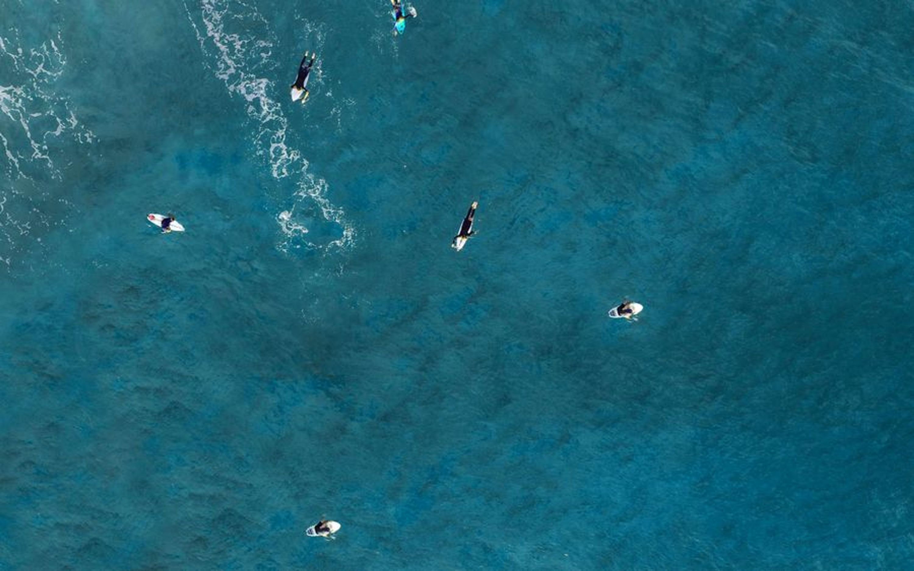 The best surf experience