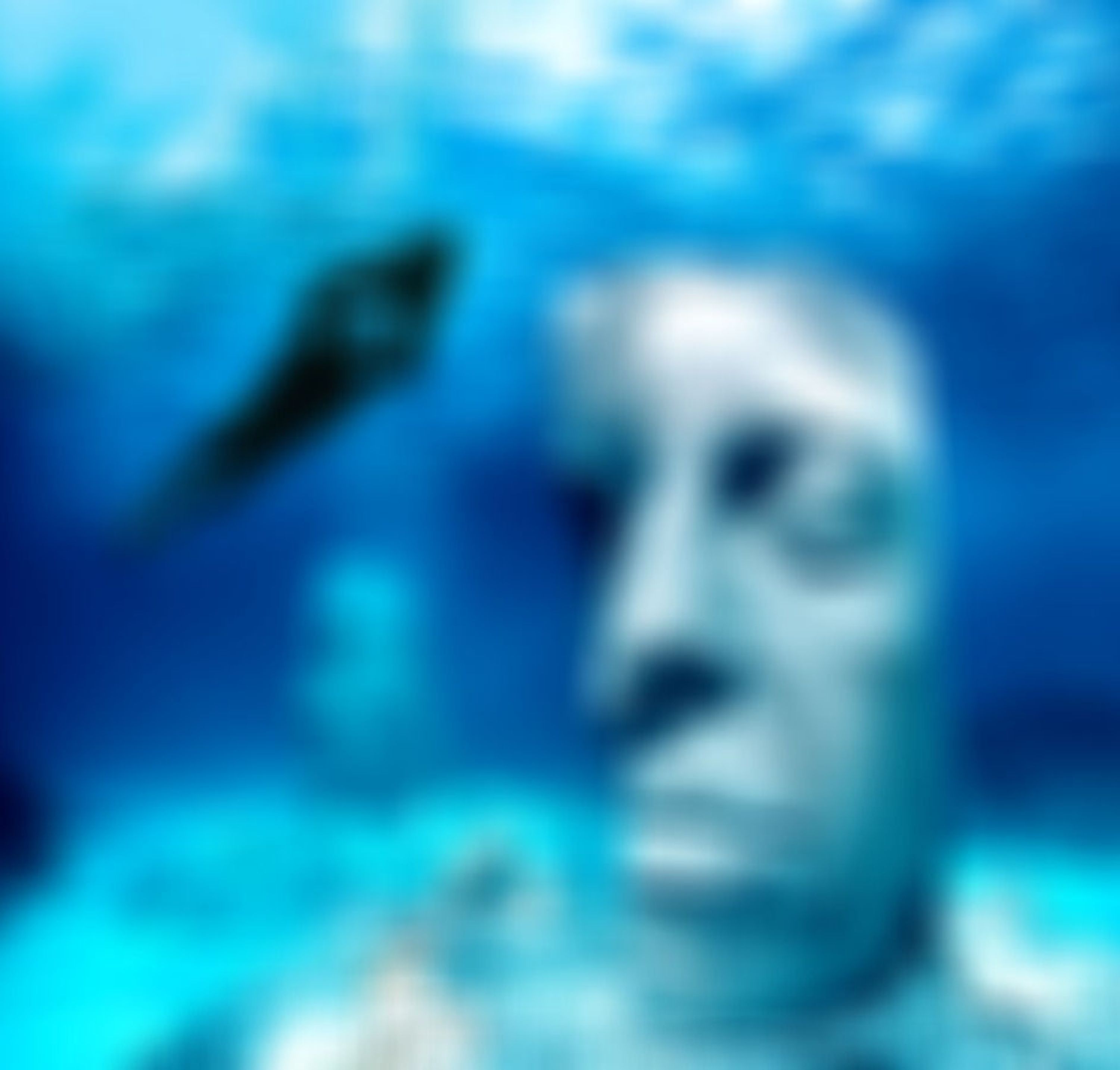 Seabike Snorkeling Tours