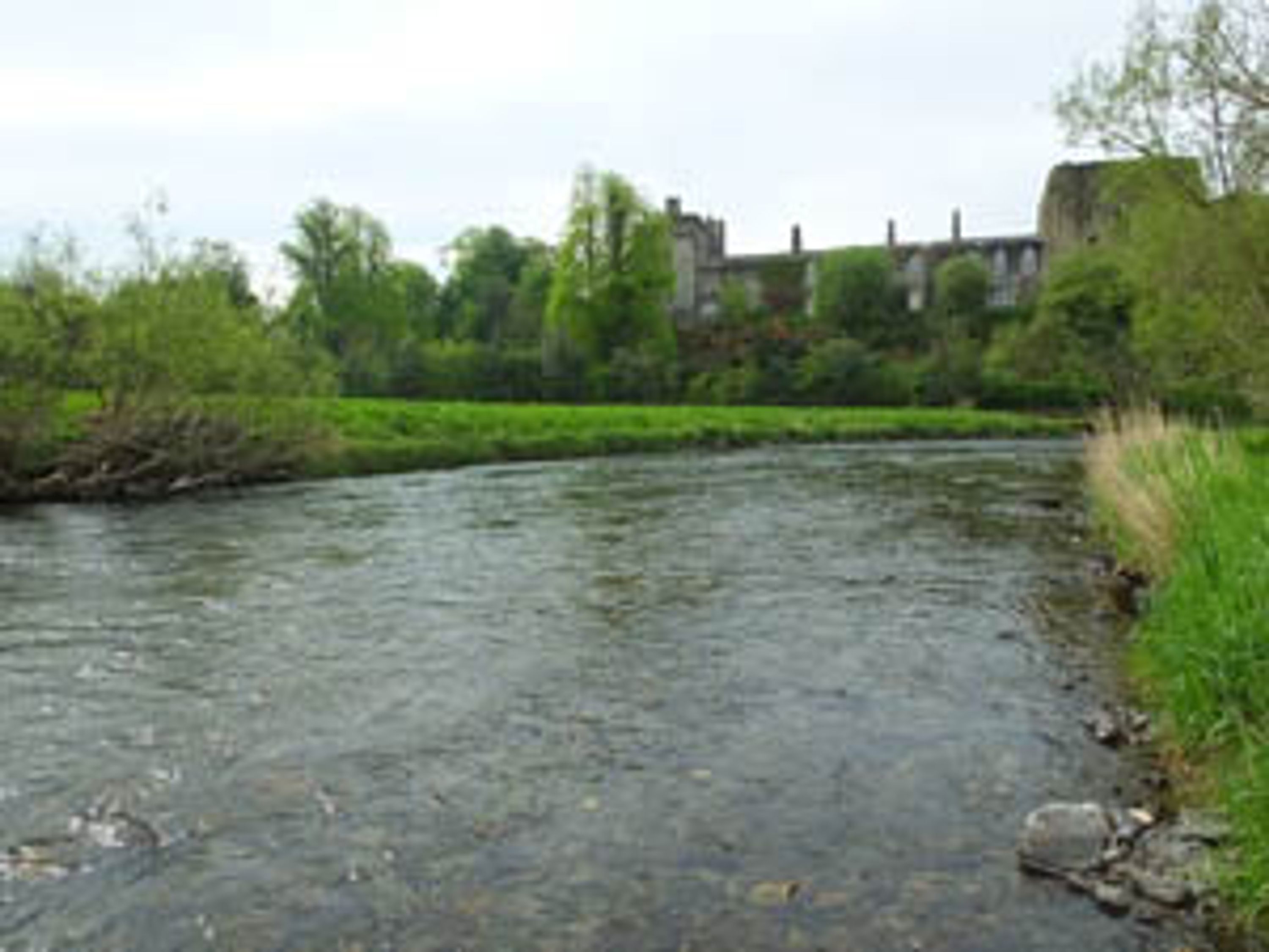 Castle Fisheries