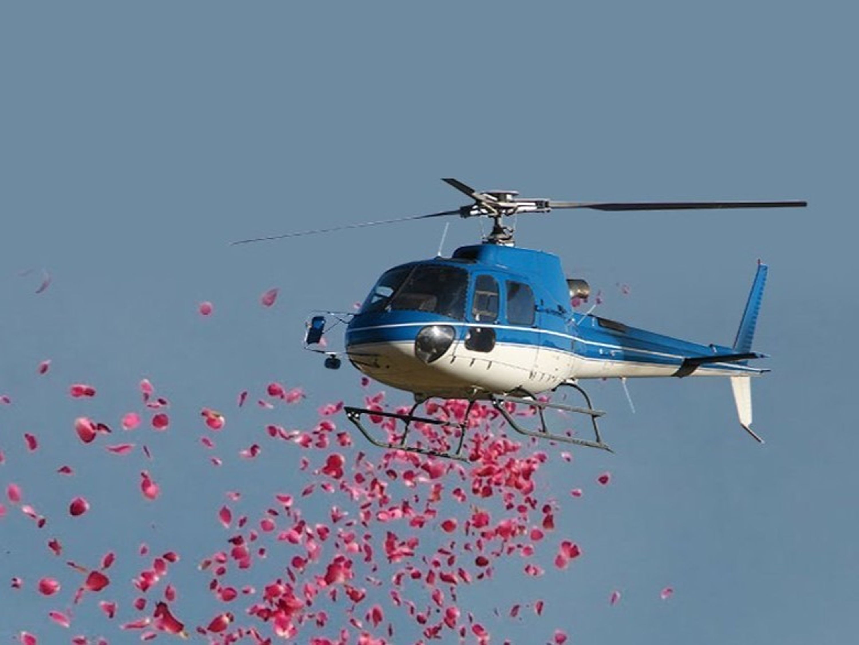 Royal Skytech Aviation Private Limited
