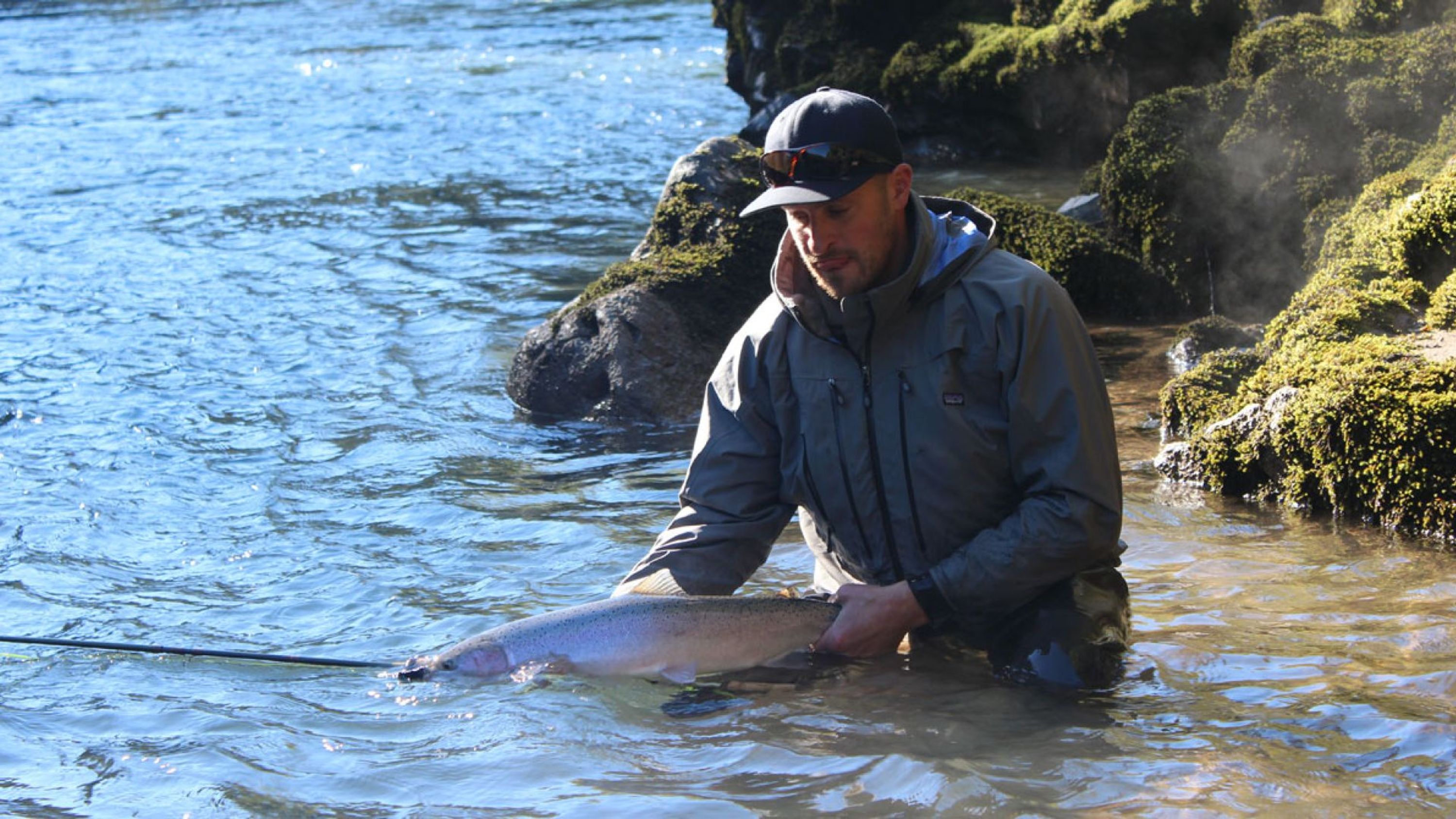 Tofino Fish Guides