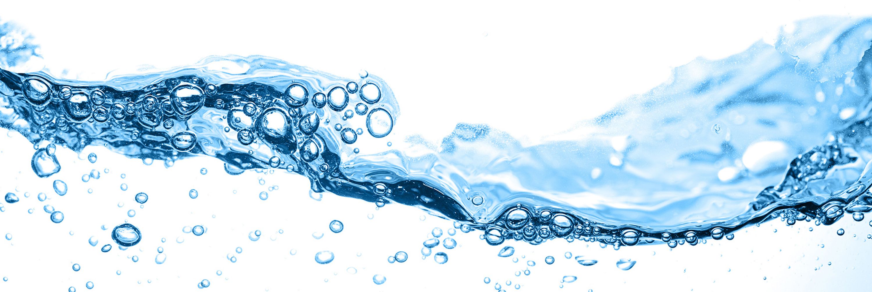 Bubbles Swim School