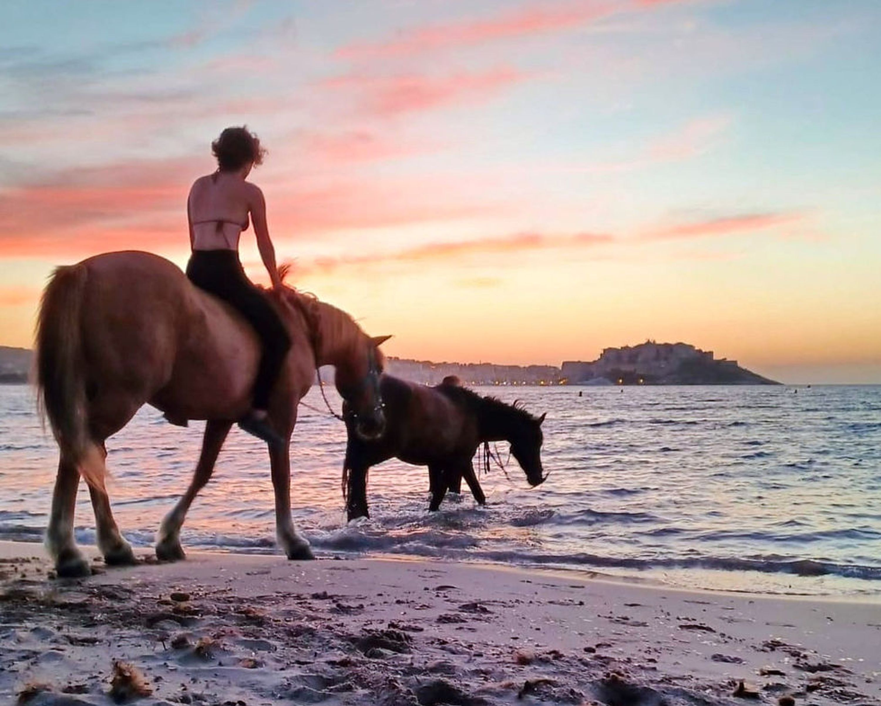 Women Horse, Balade A Cheval Et Poney En Corse, Debourrage, Cours, Stages, Passage De Galop