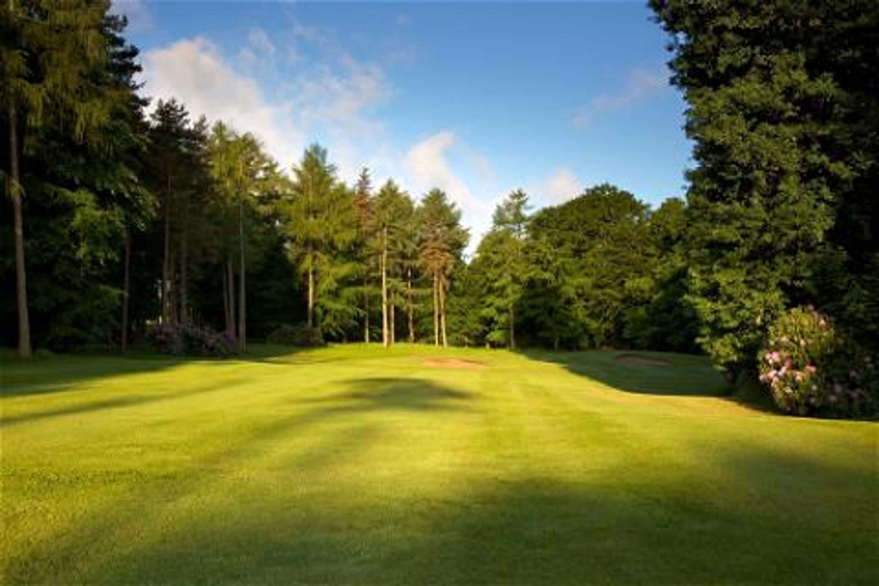 GolfFest 2024