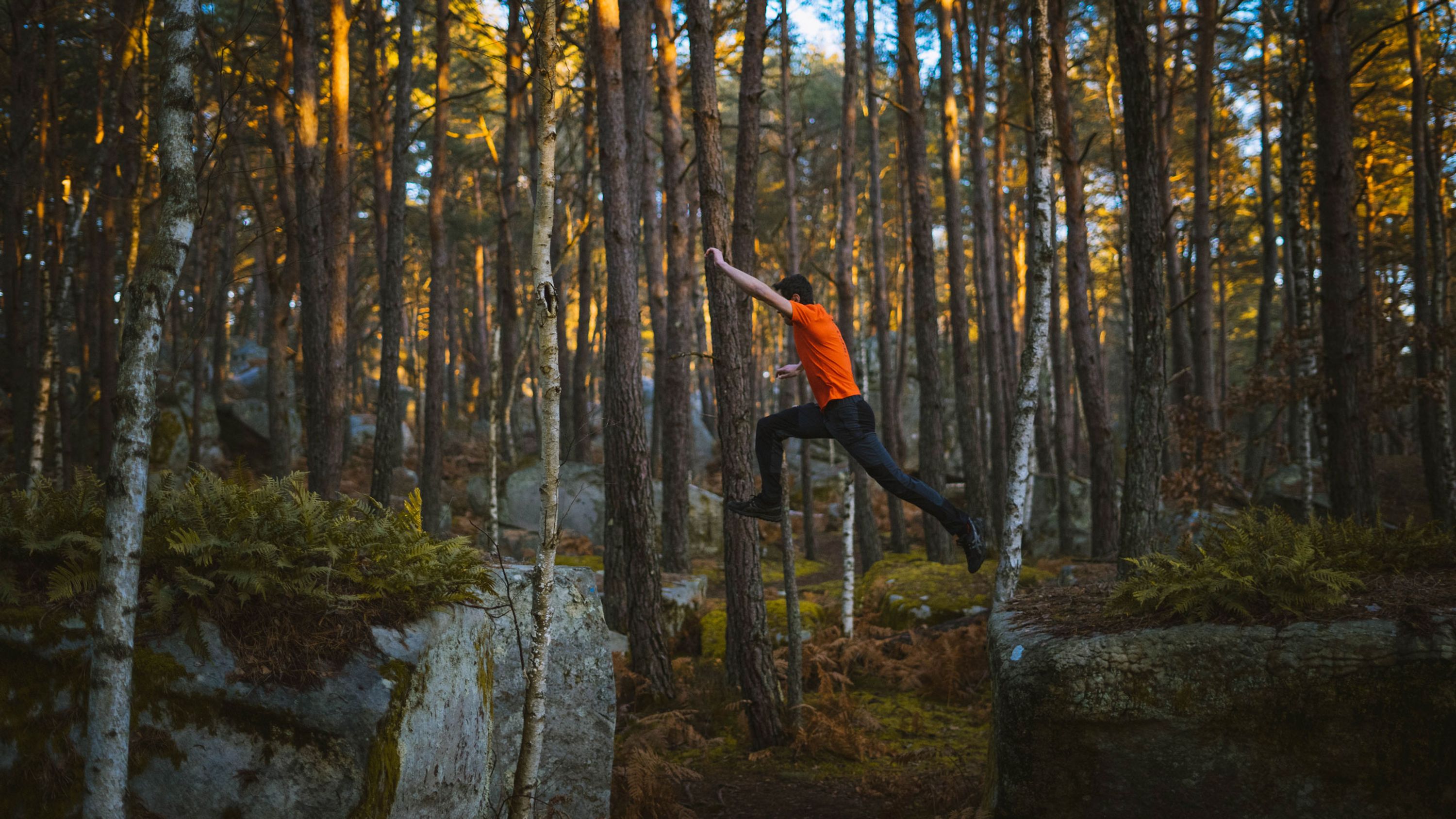 Bleausard's Studio - Yoga & Pilates À Fontainebleau