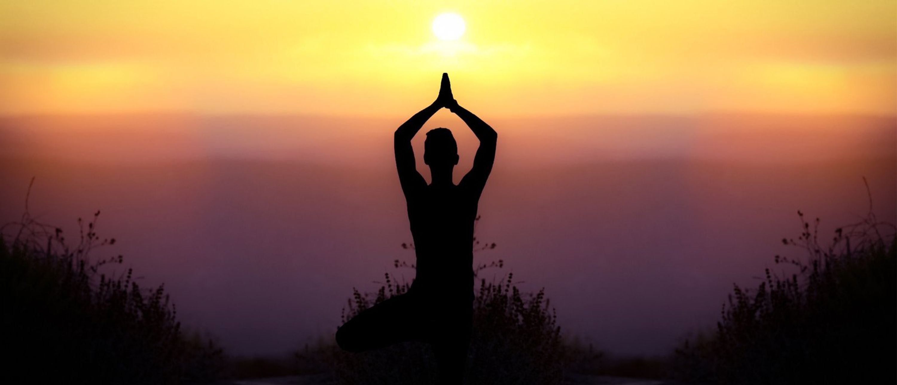 Master Yoga