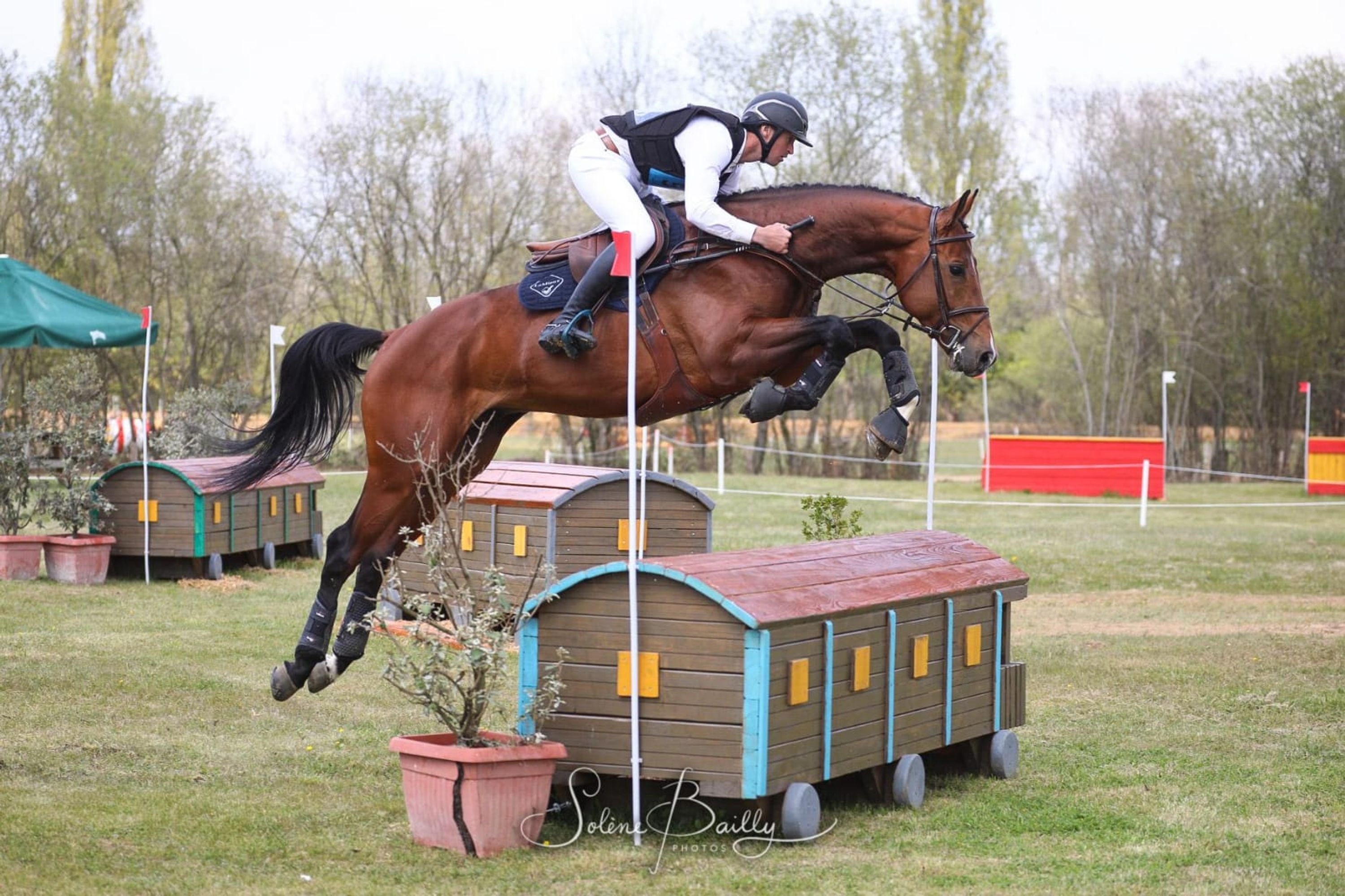 Poney Club Louveaux