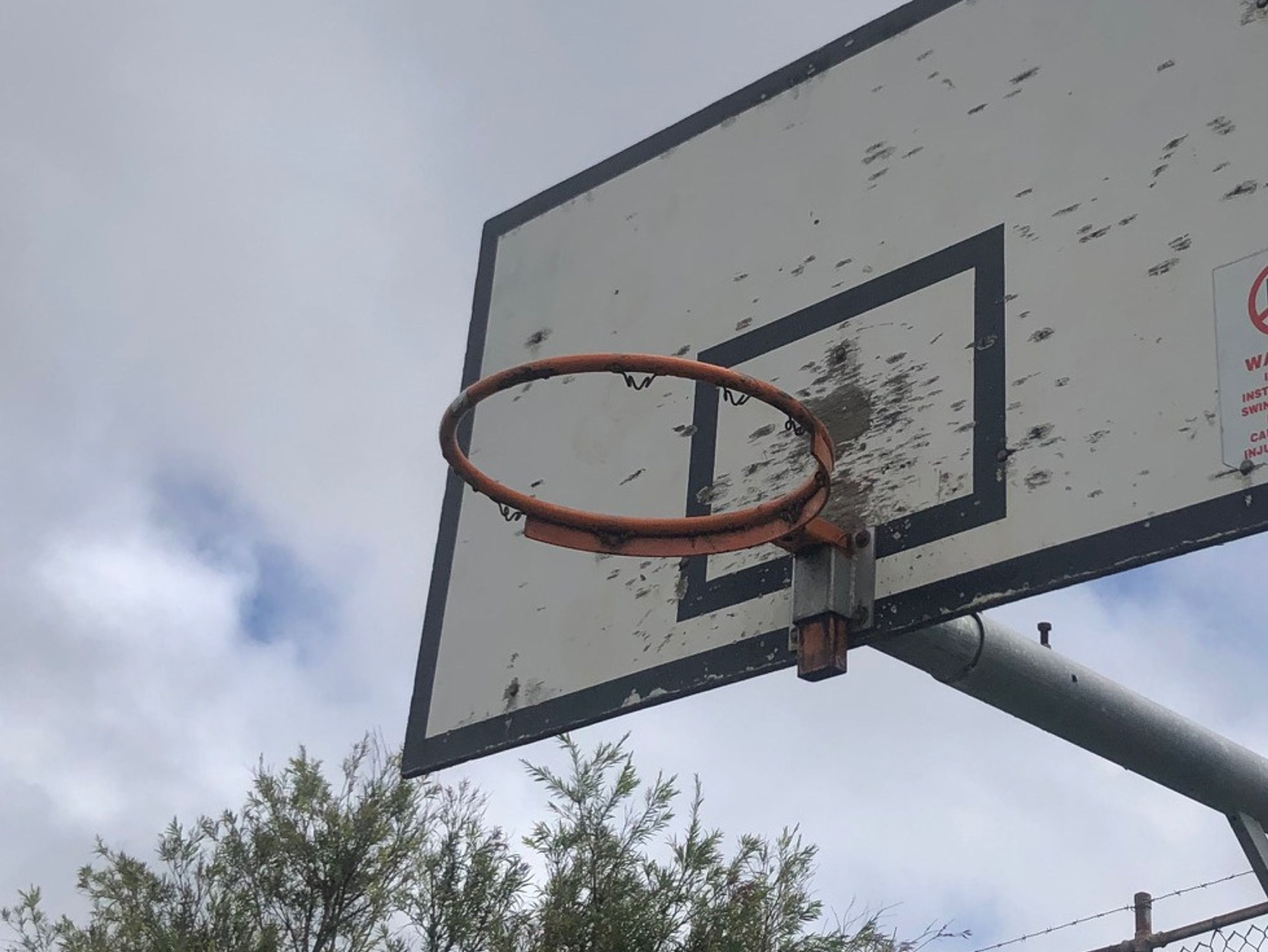 Hoop In Net