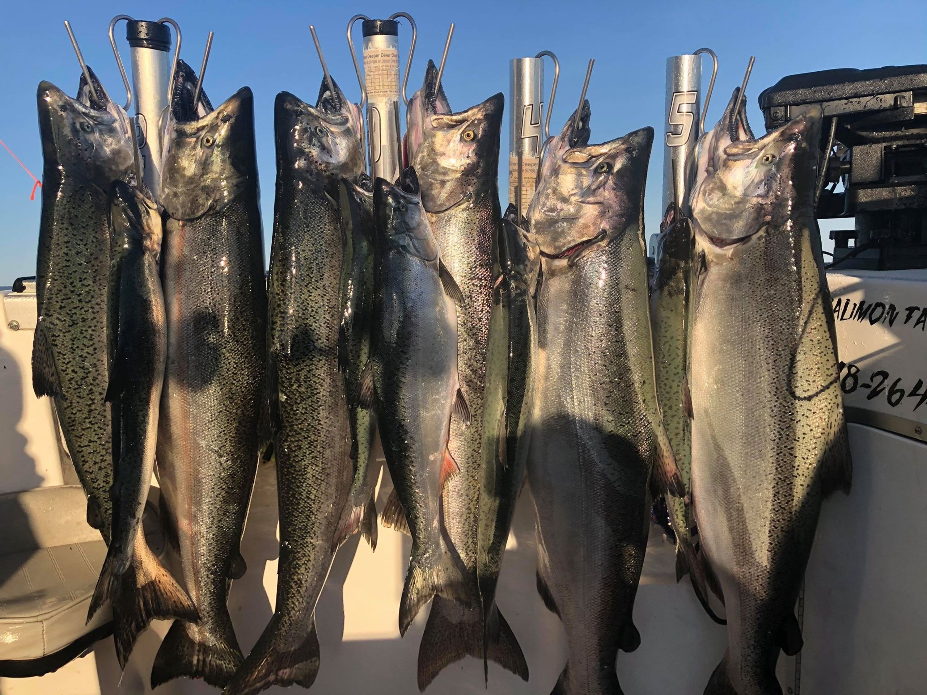 STRIKE ZONE CHARTERS