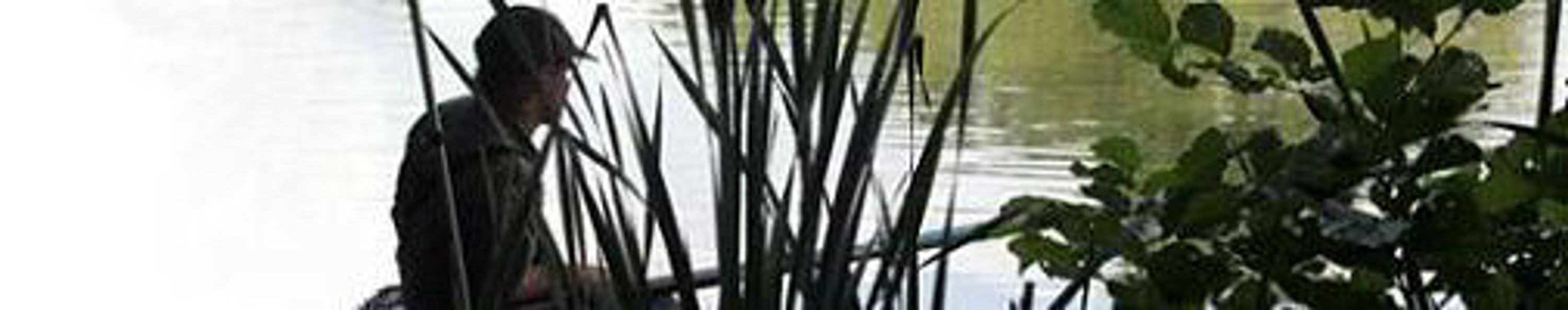 Barford Lakes