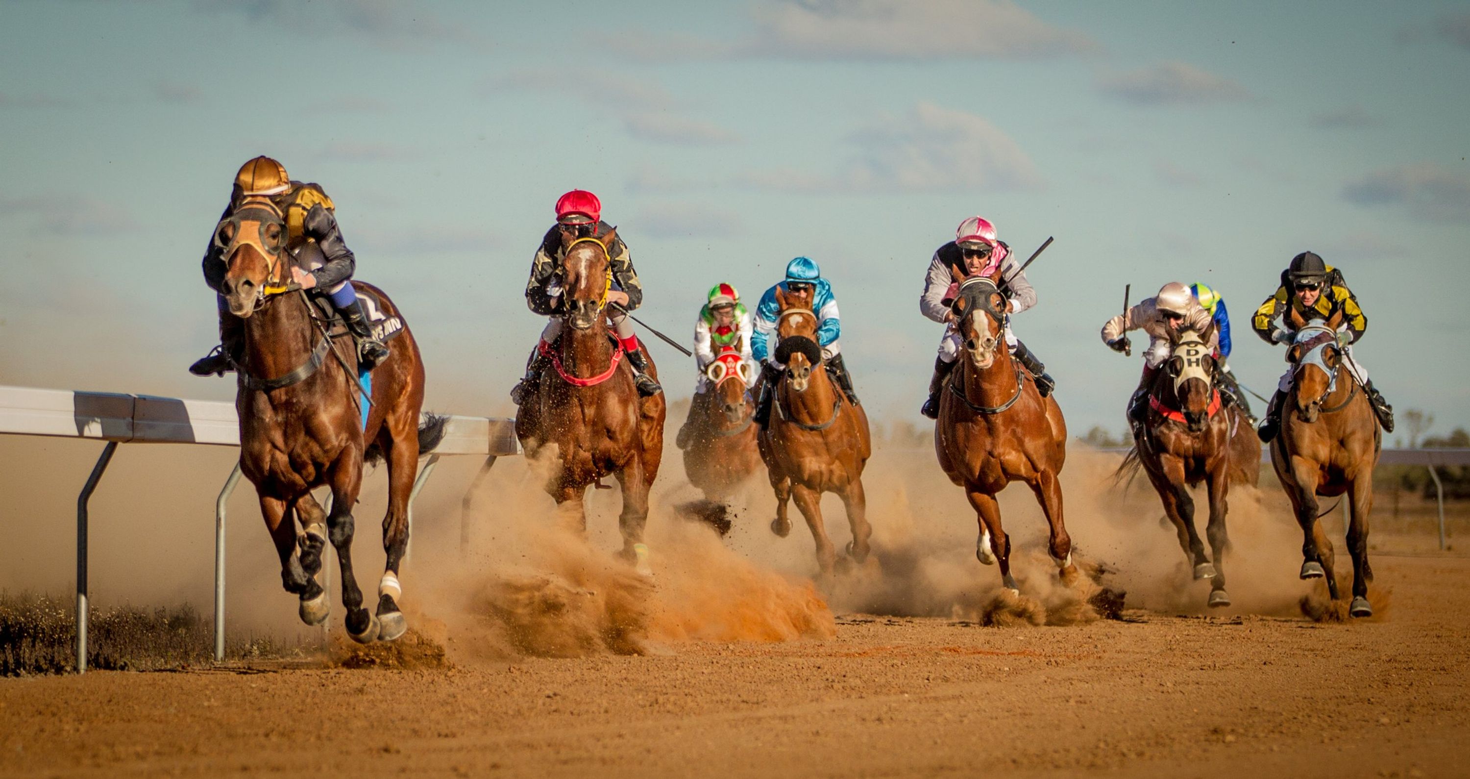 Louth Races